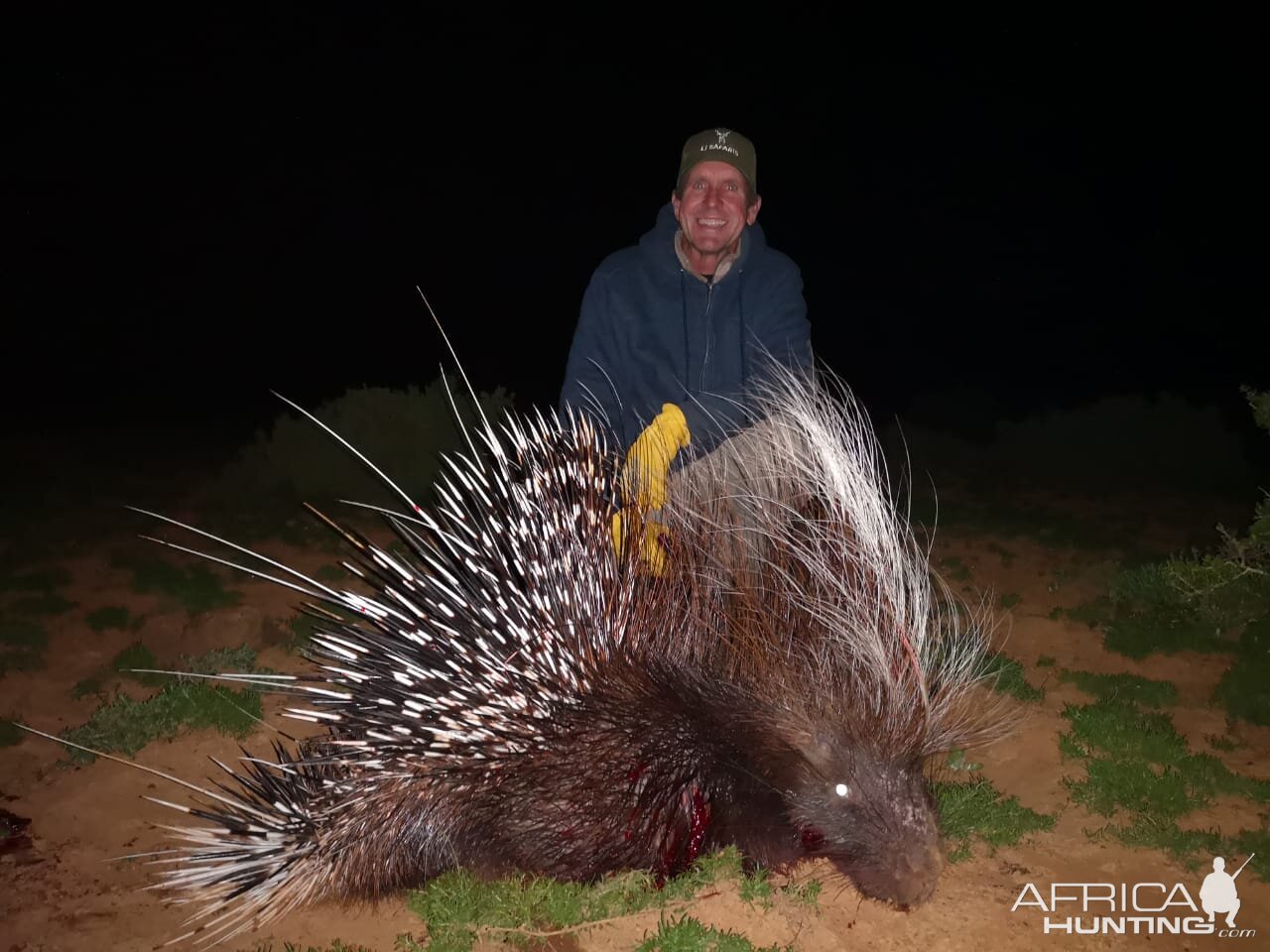 Hunt African Porcupine in South Africa