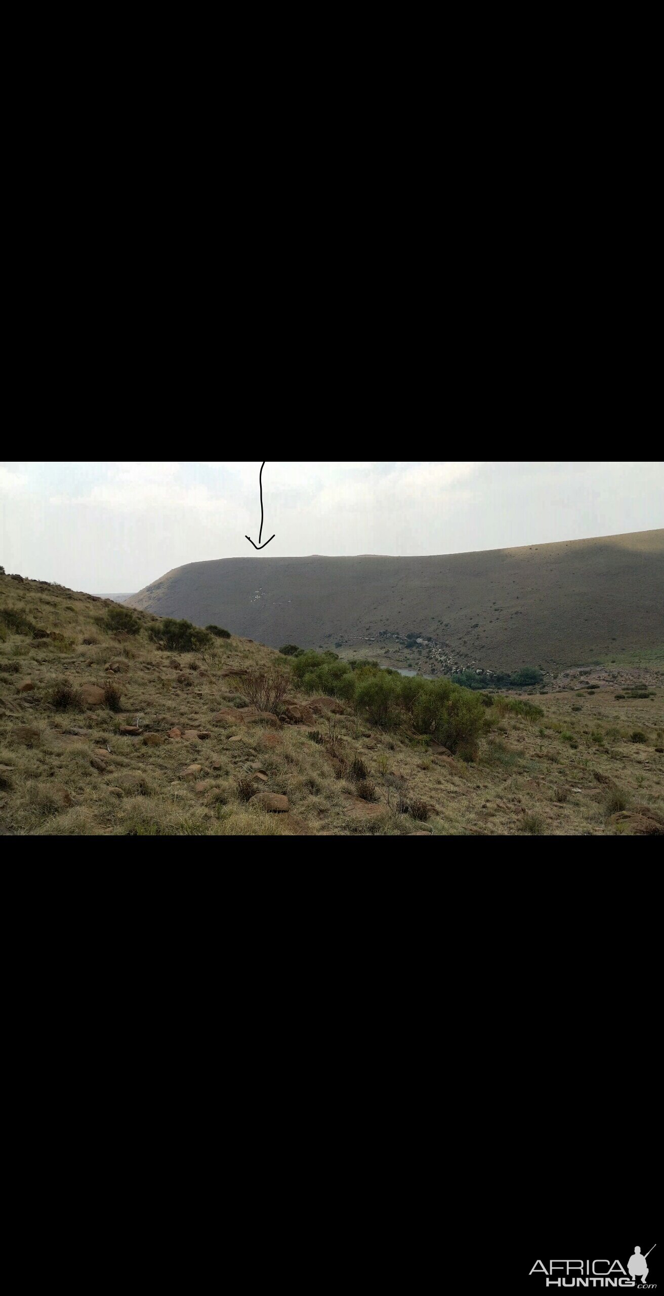 Hunt Aoudad in South Africa