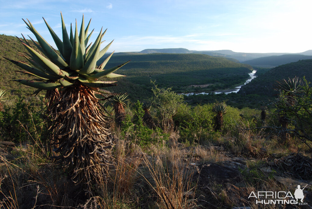 Hunt Area in South Africa