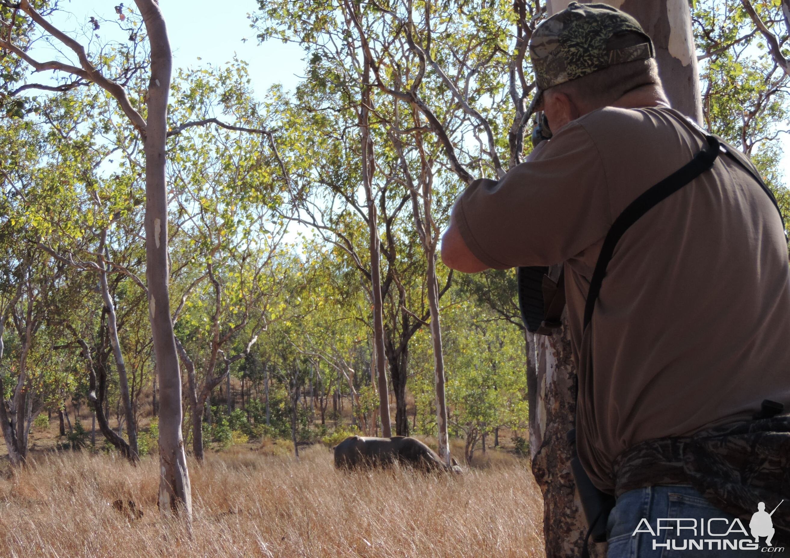 Hunt Asiatic Water Buffalo in Australia