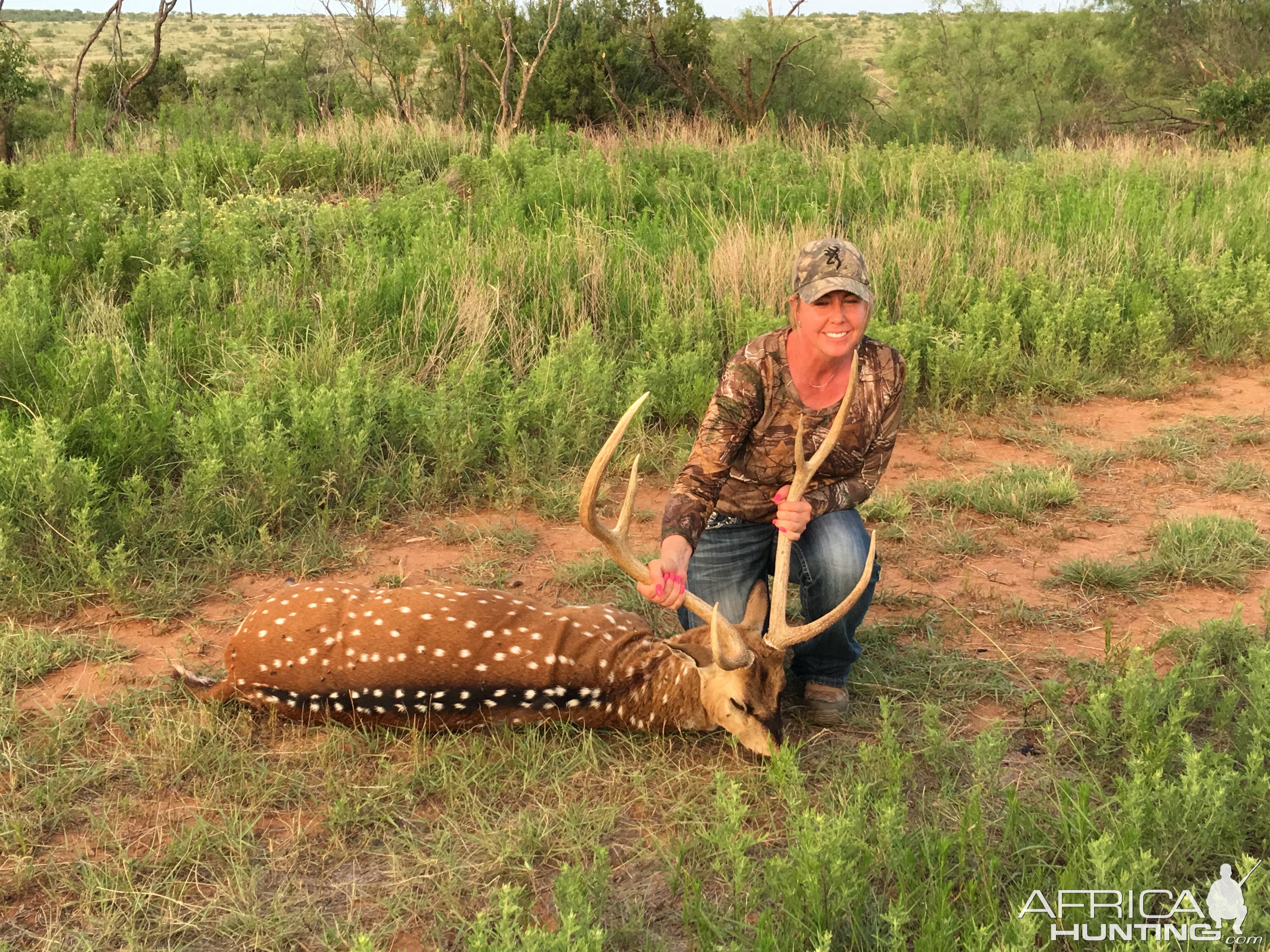 Hunt Axis Deer in Texas USA