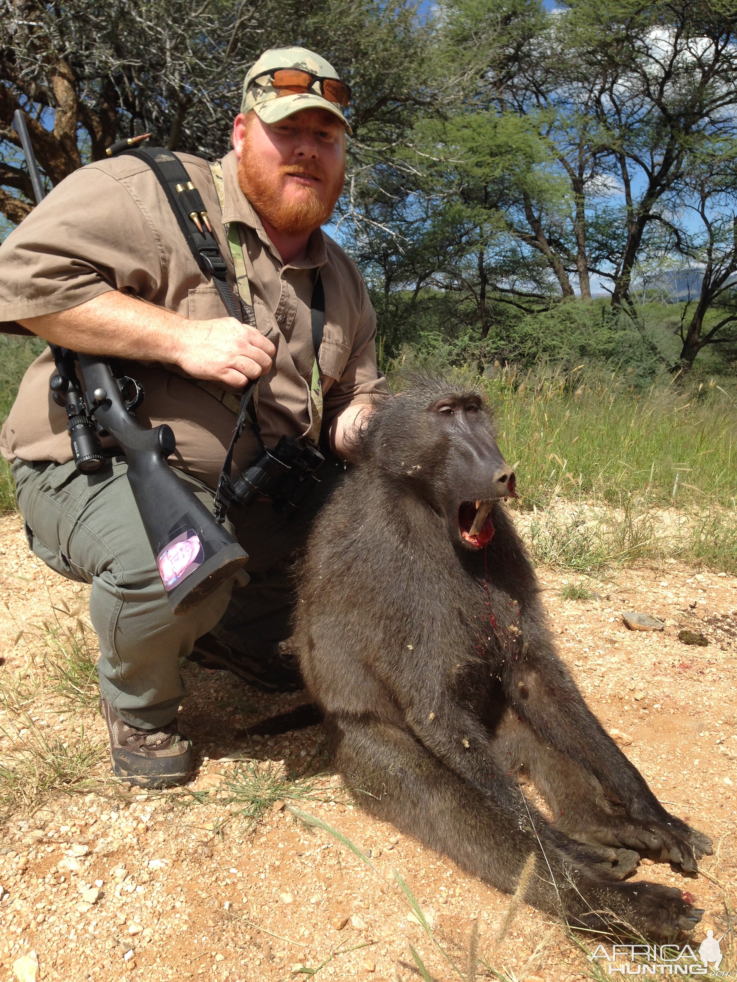 Hunt Baboon