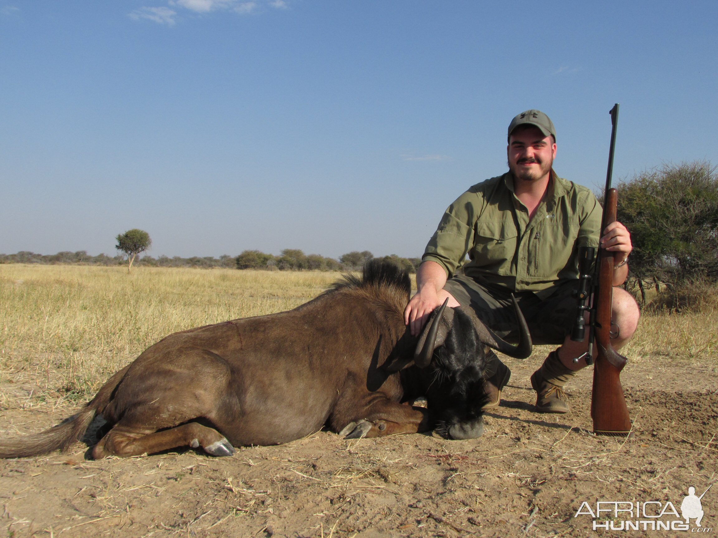 Hunt Black Wildebeest in Nambia