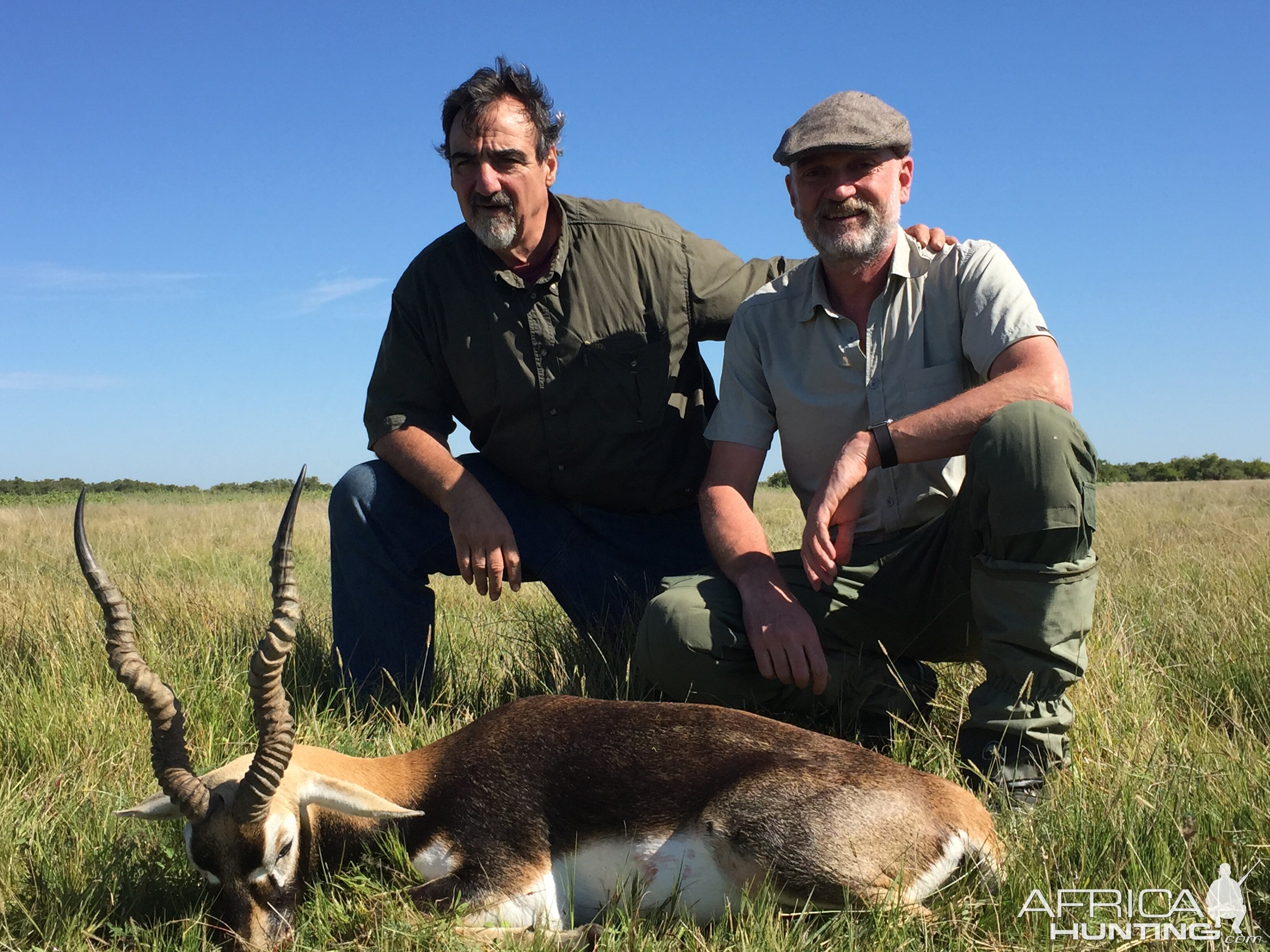 Hunt Blackbuck in Argentina