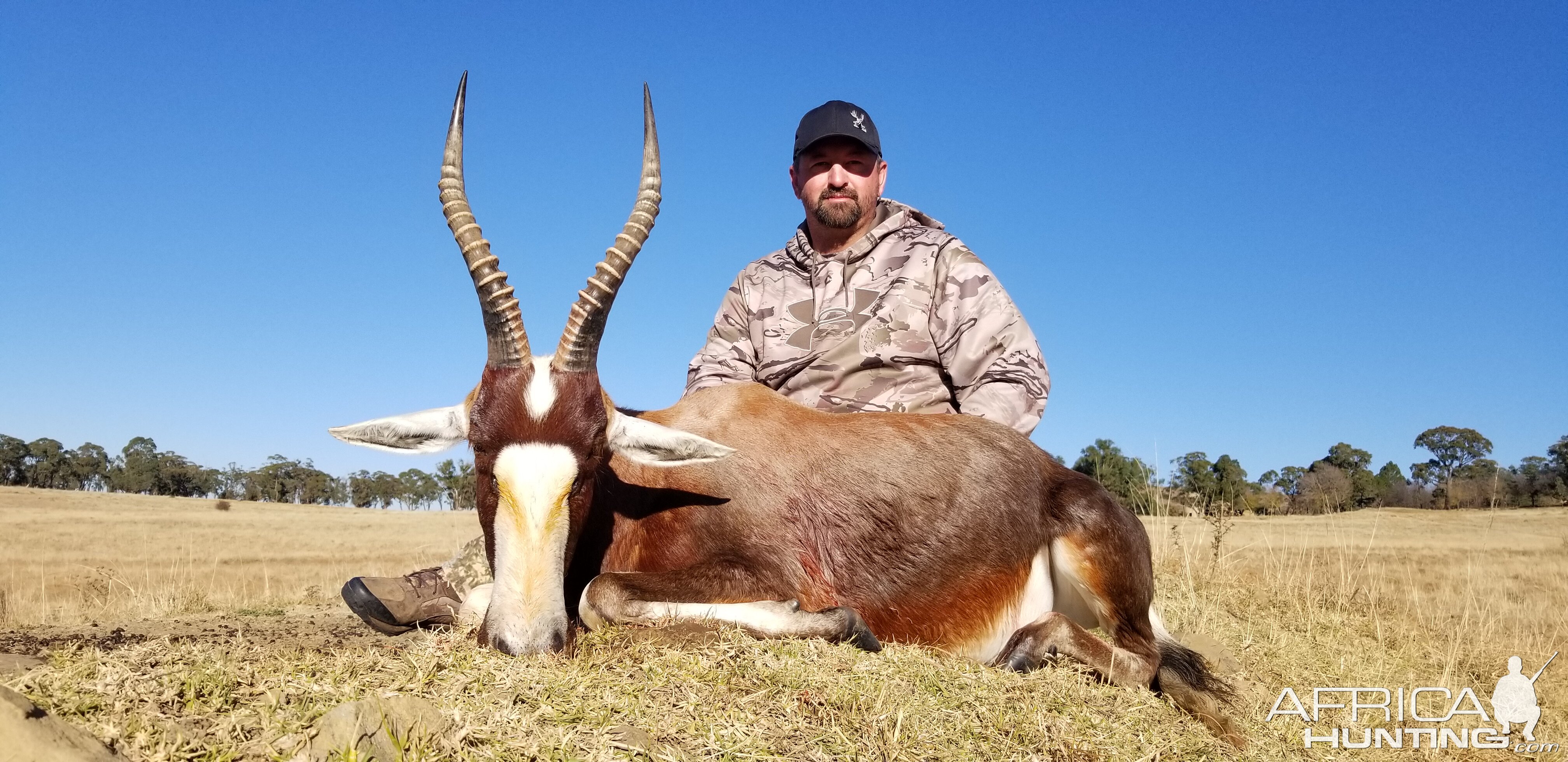 Hunt Blesbok in South Africa