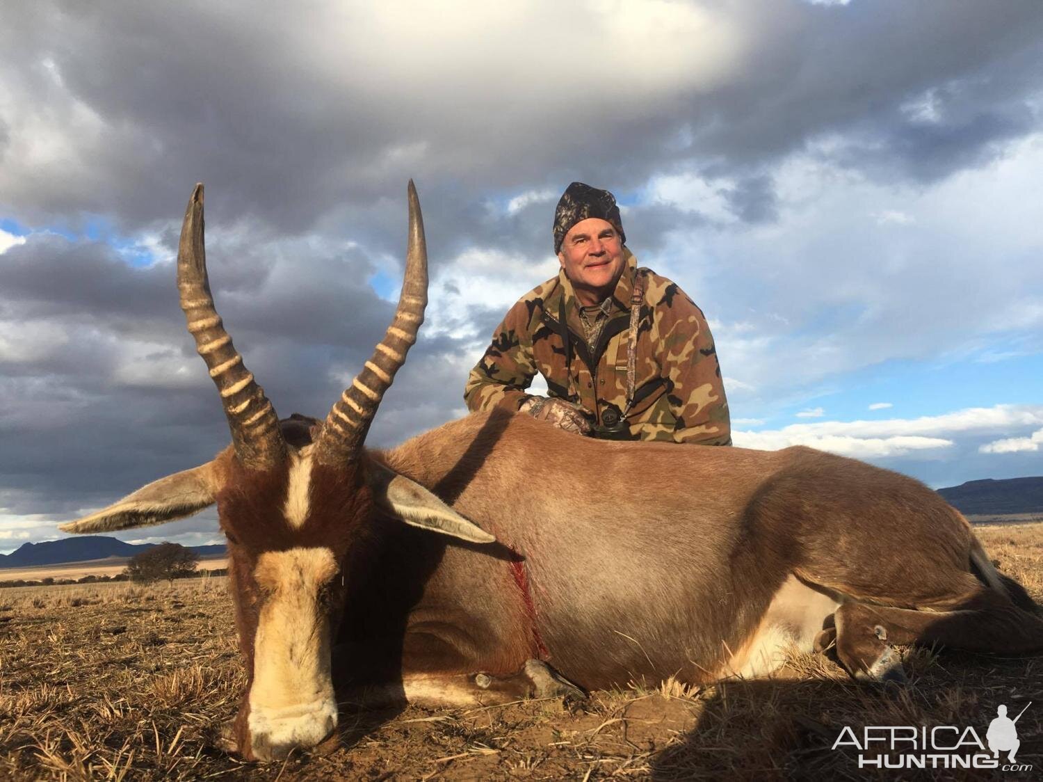 Hunt Blesbok in South Africa