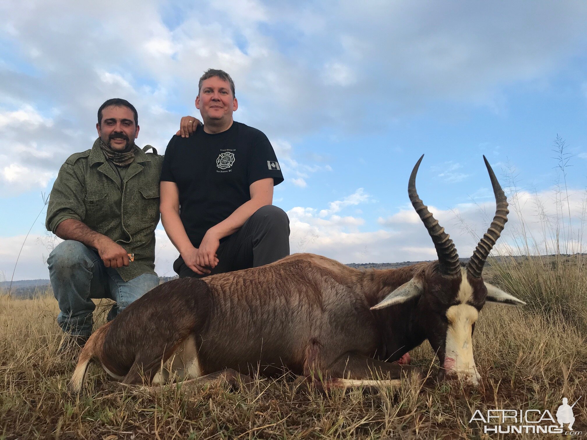 Hunt Blesbok South Africa