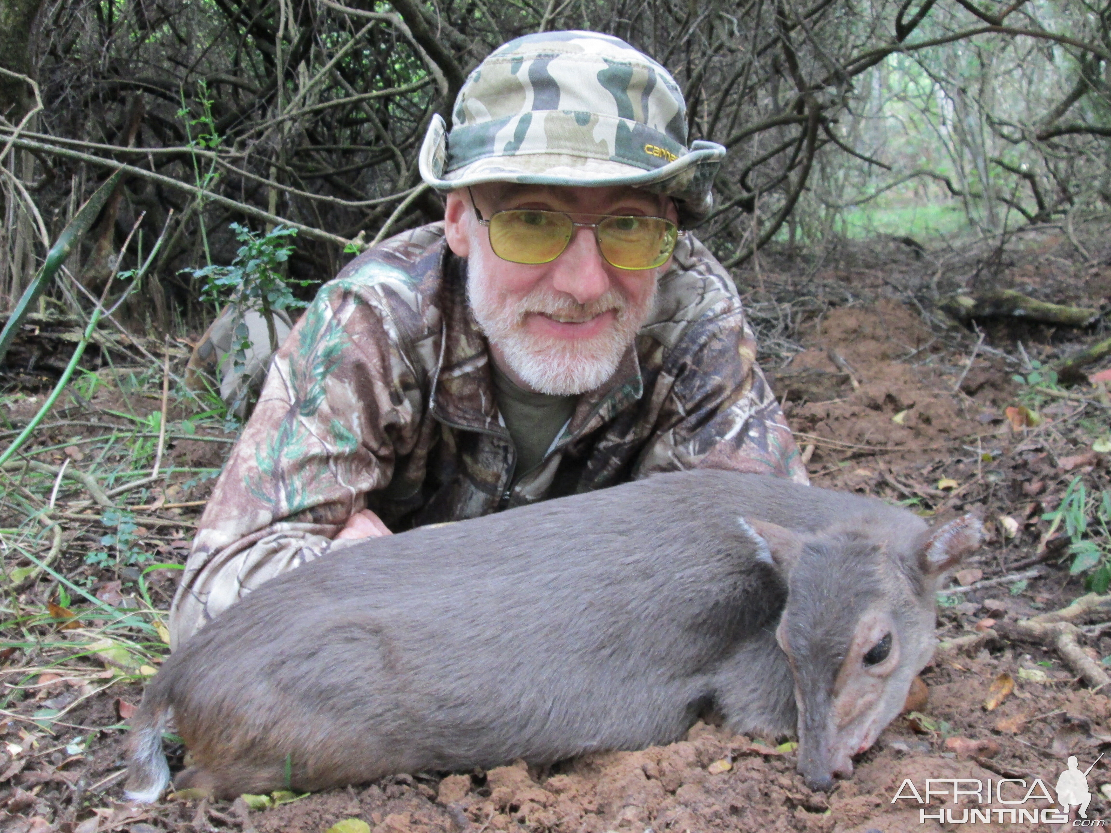 Hunt Blue Duiker in South Africa