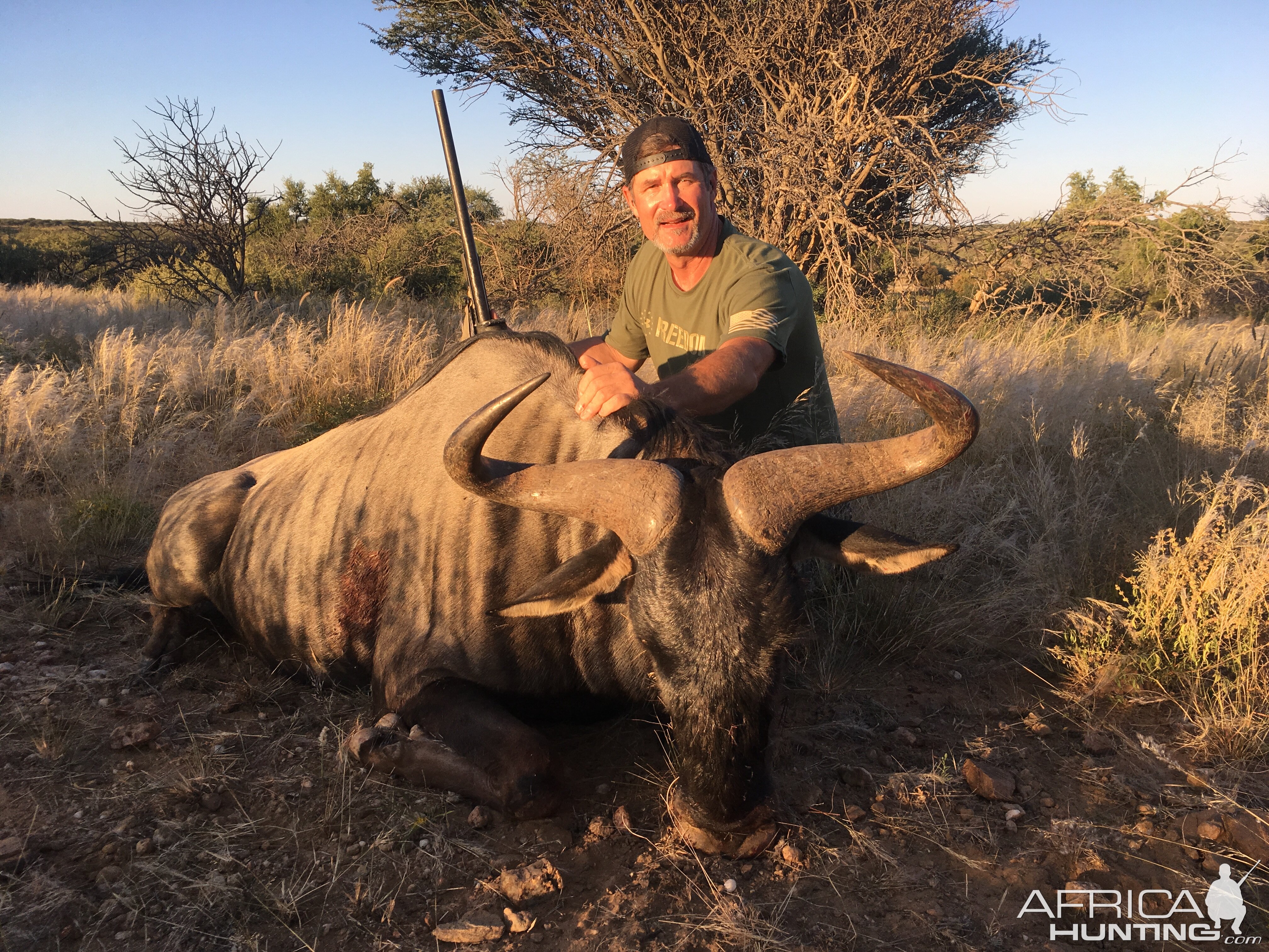 Hunt Blue Wildebeest in Namibia