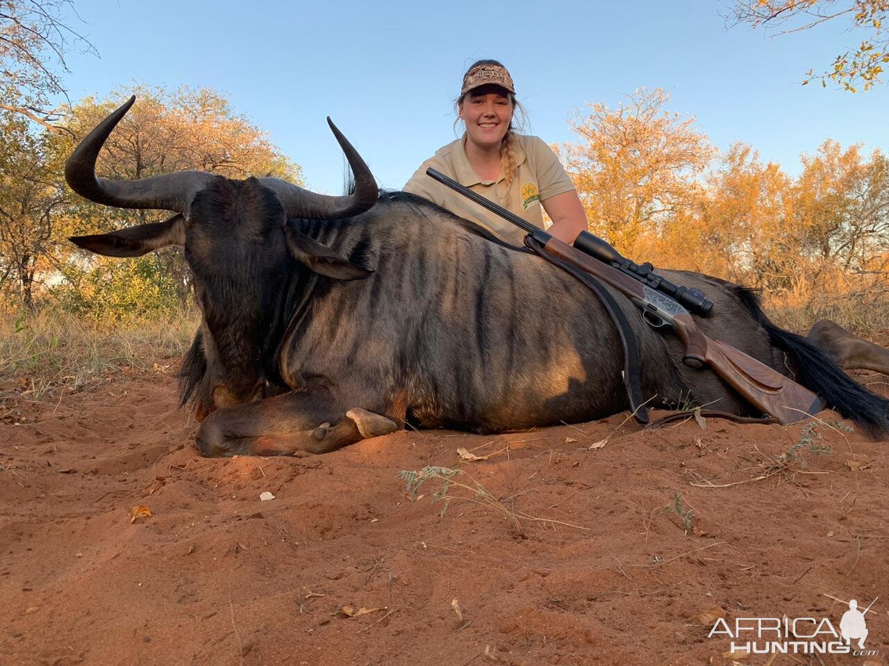 Hunt Blue Wildebeest in South Africa