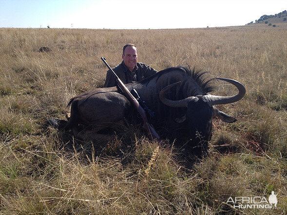 Hunt Blue Wildebeest in South Africa