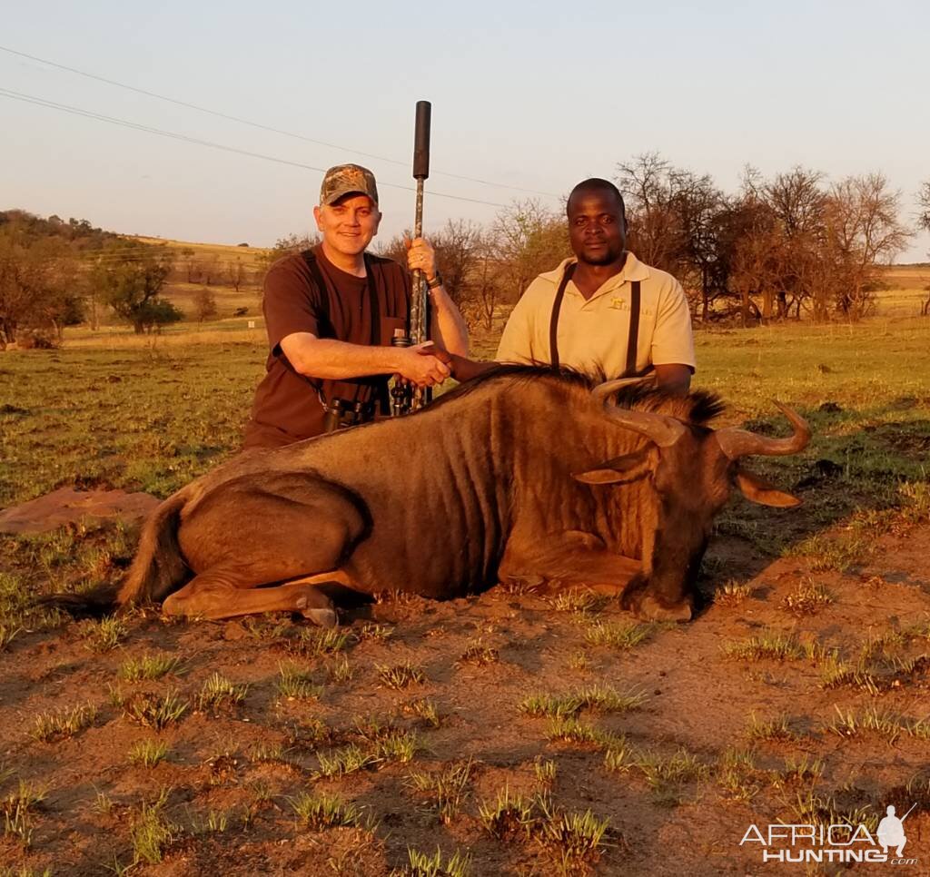 Hunt Blue Wildebeest in South Africa