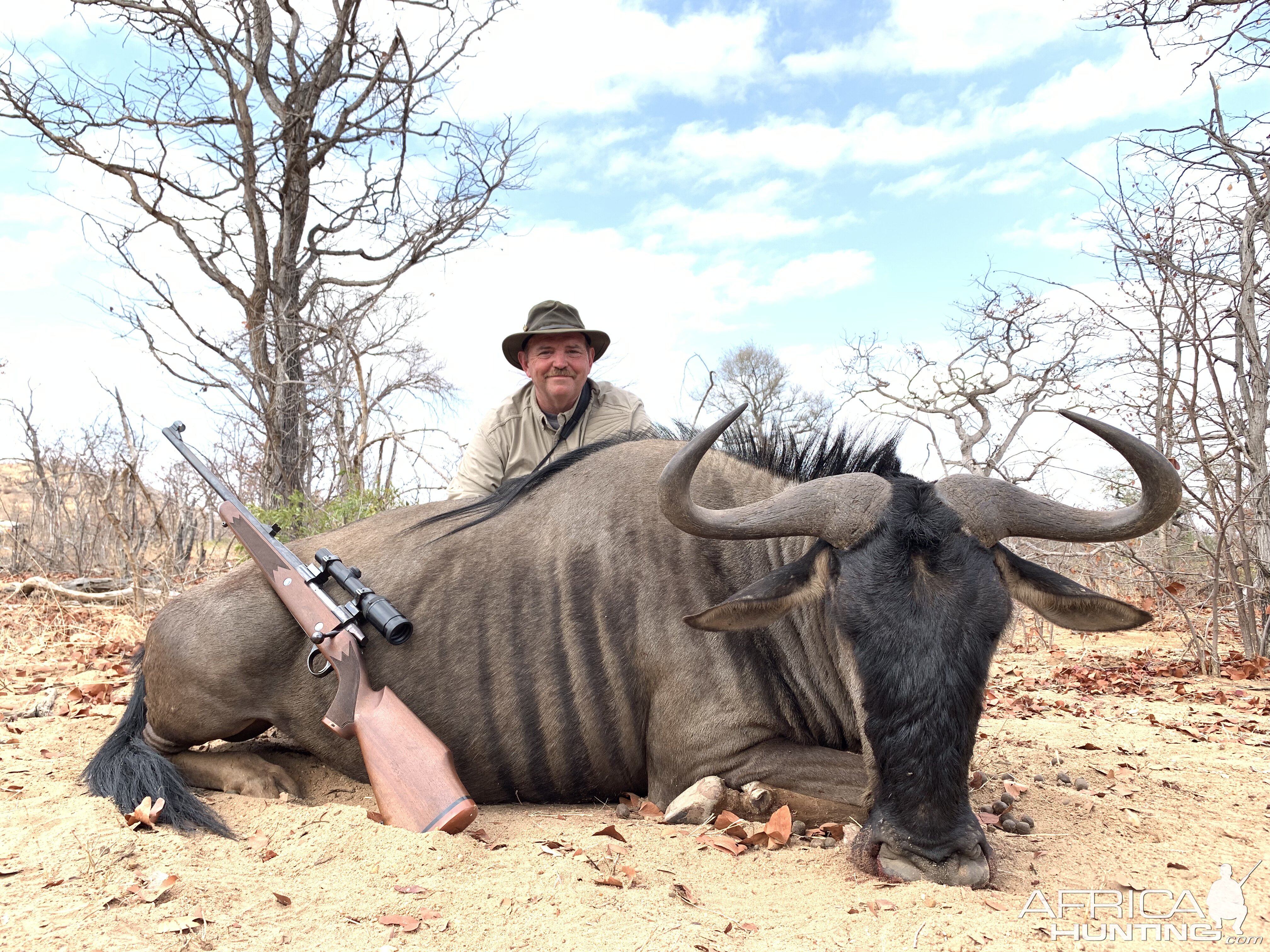 Hunt Blue Wildebeest in South Africa