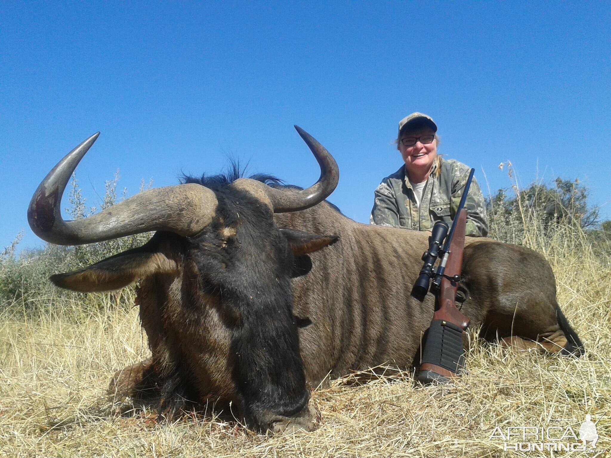 Hunt Blue Wildebeest South Africa