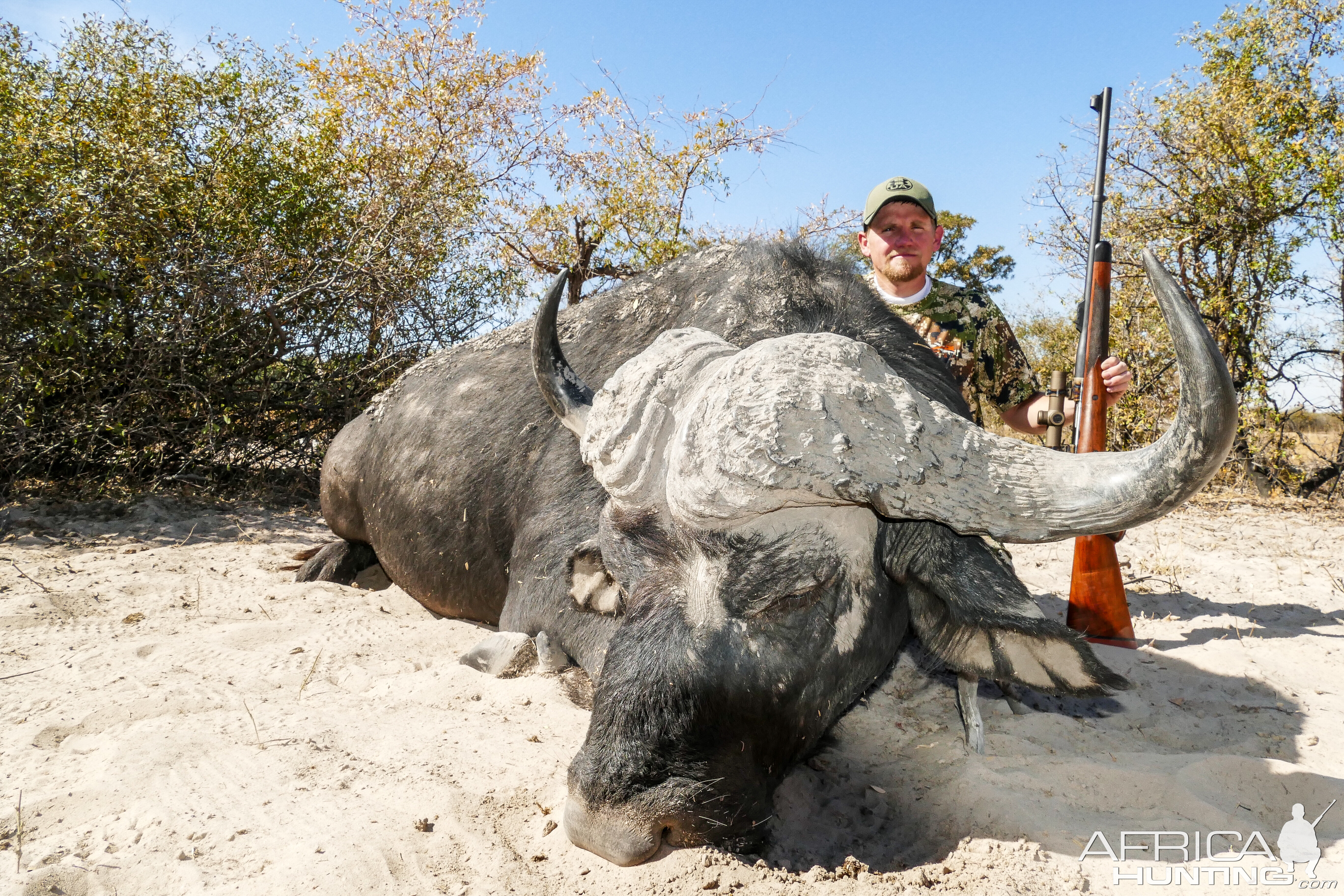 Hunt Buffalo in Namibia