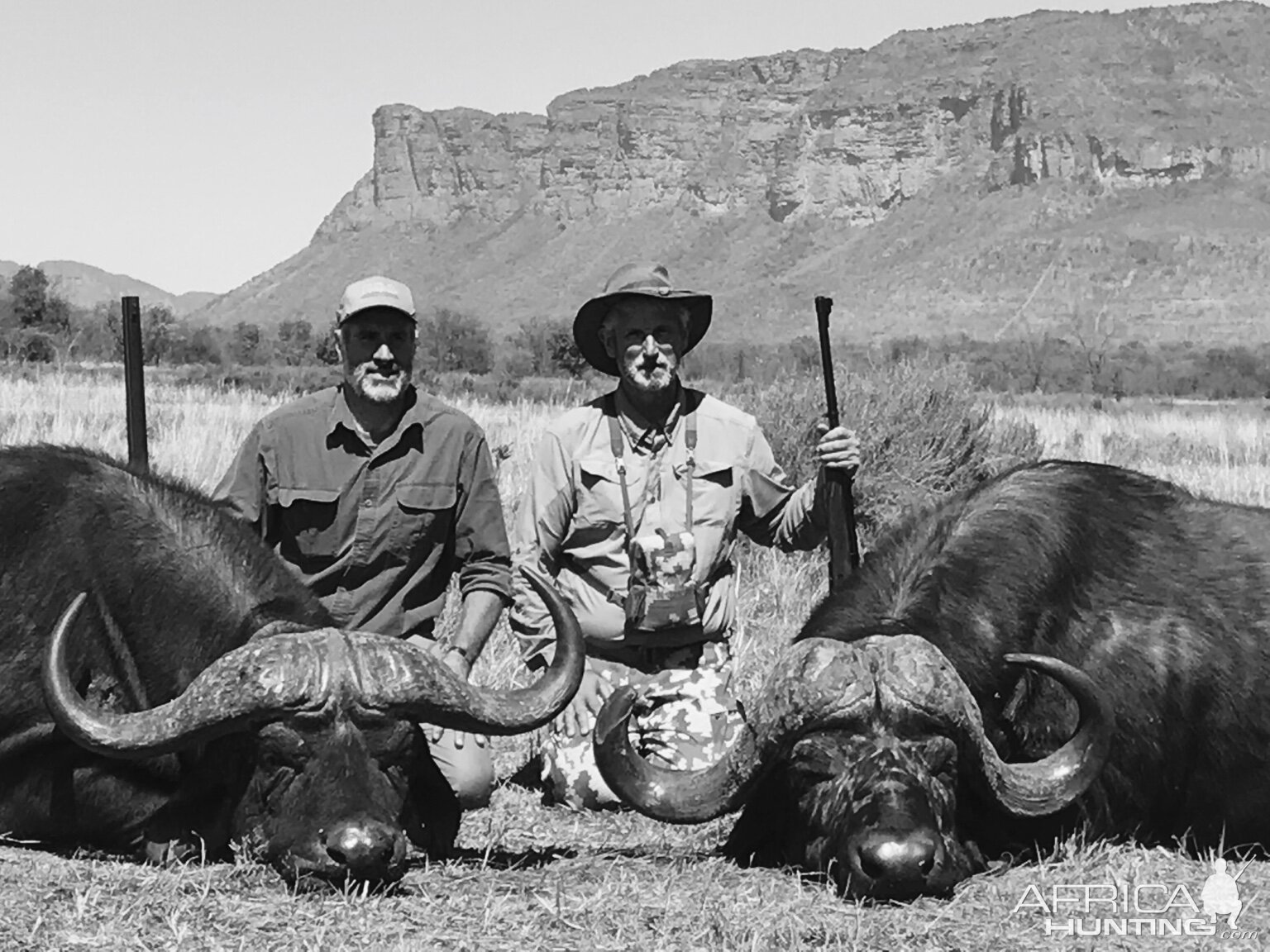 Hunt Buffalo in South Africa