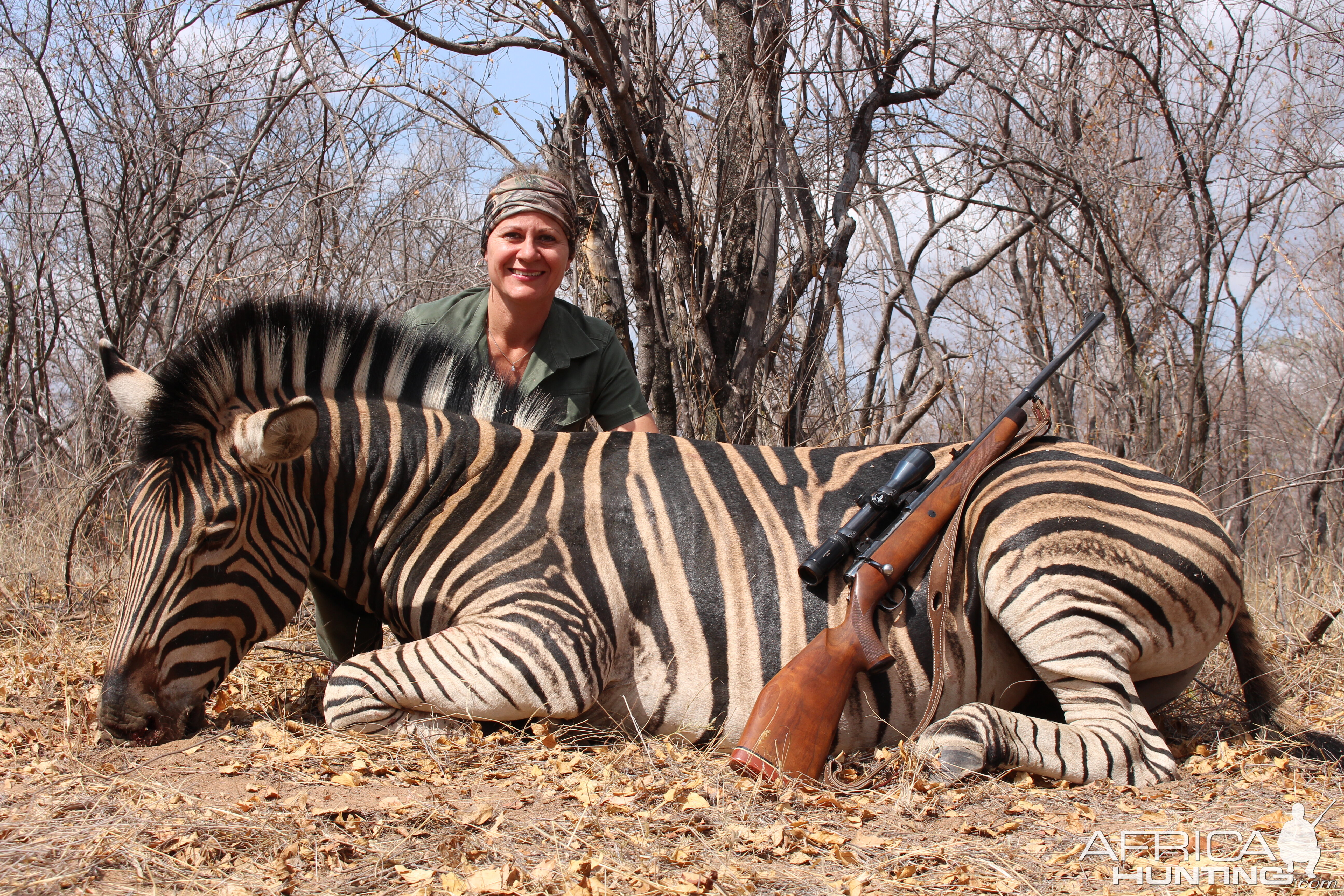 Hunt Burchell's Plain Zebra in South Africa