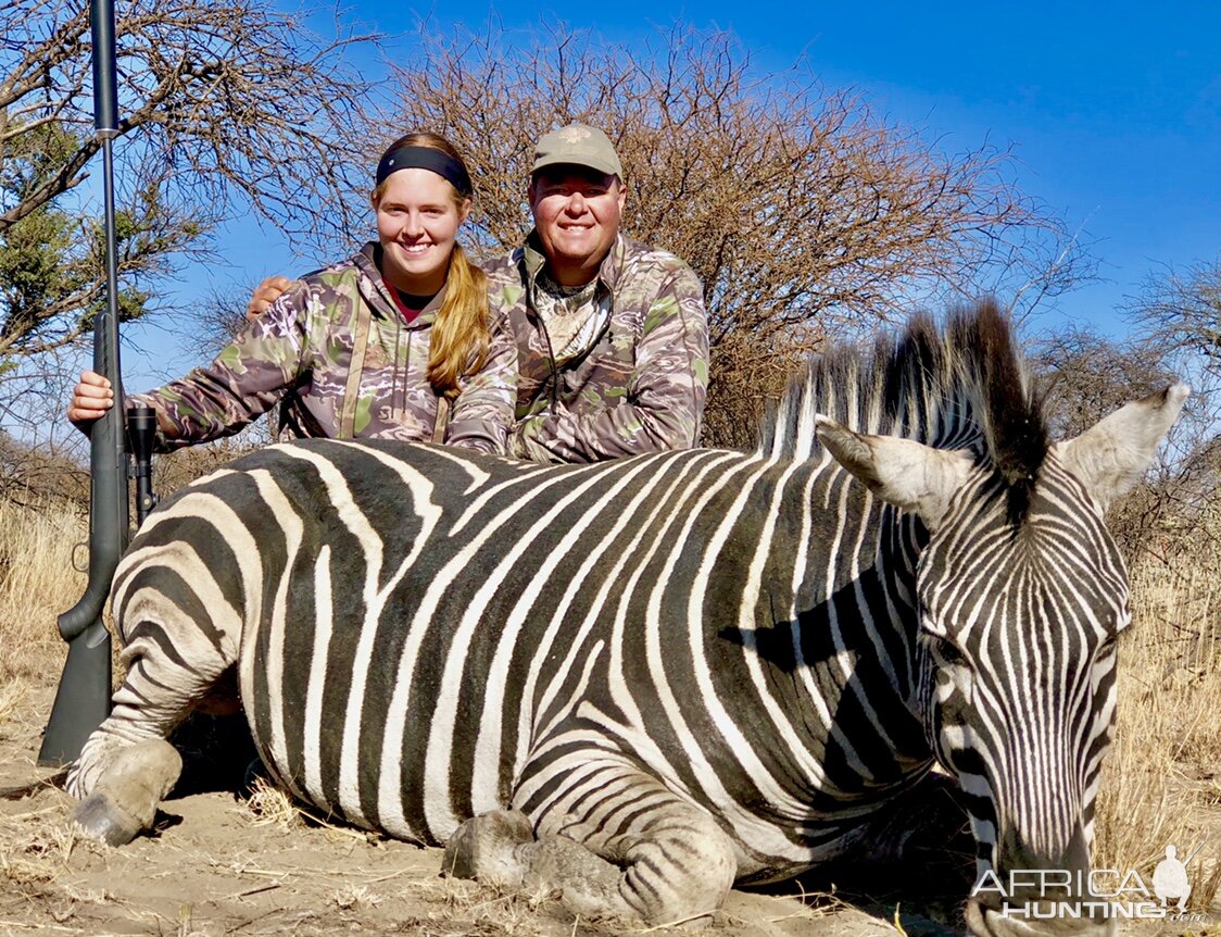 Hunt Burchell's Plain Zebra in South Africa