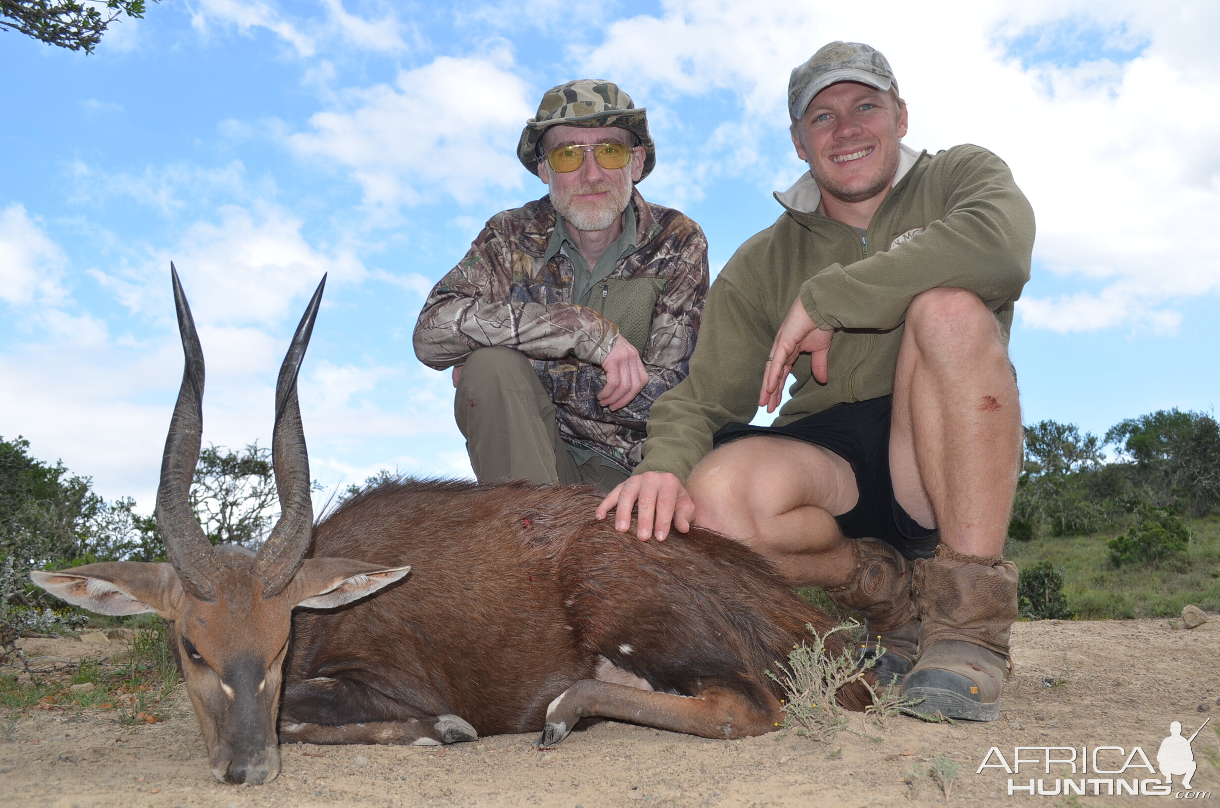 Hunt Bushbuck in South Africa