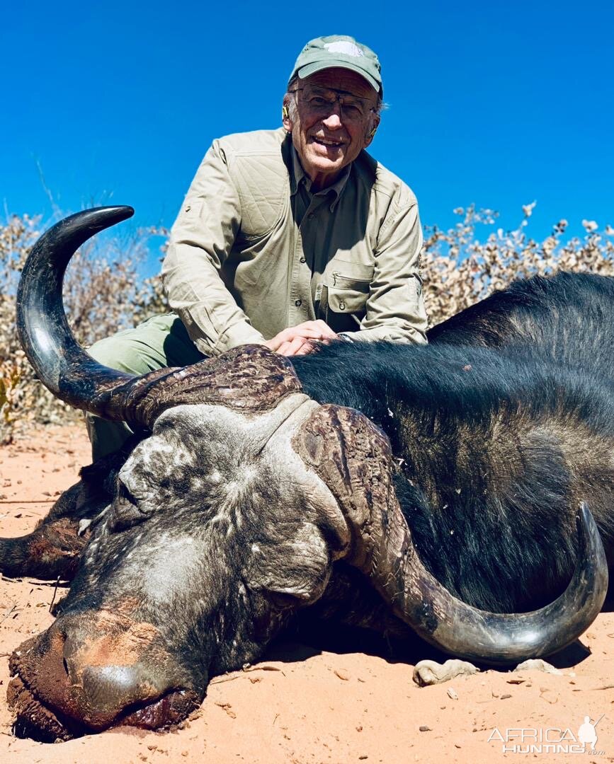 Hunt Cape Buffalo in Namibia