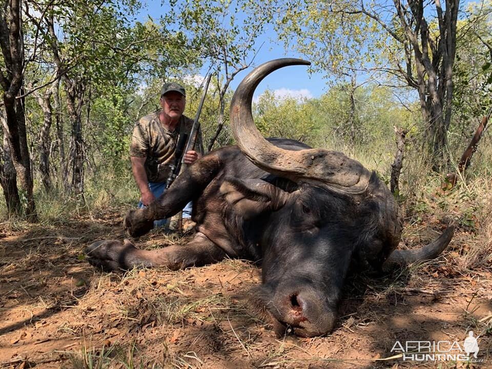 Hunt Cape Buffalo in South Africa