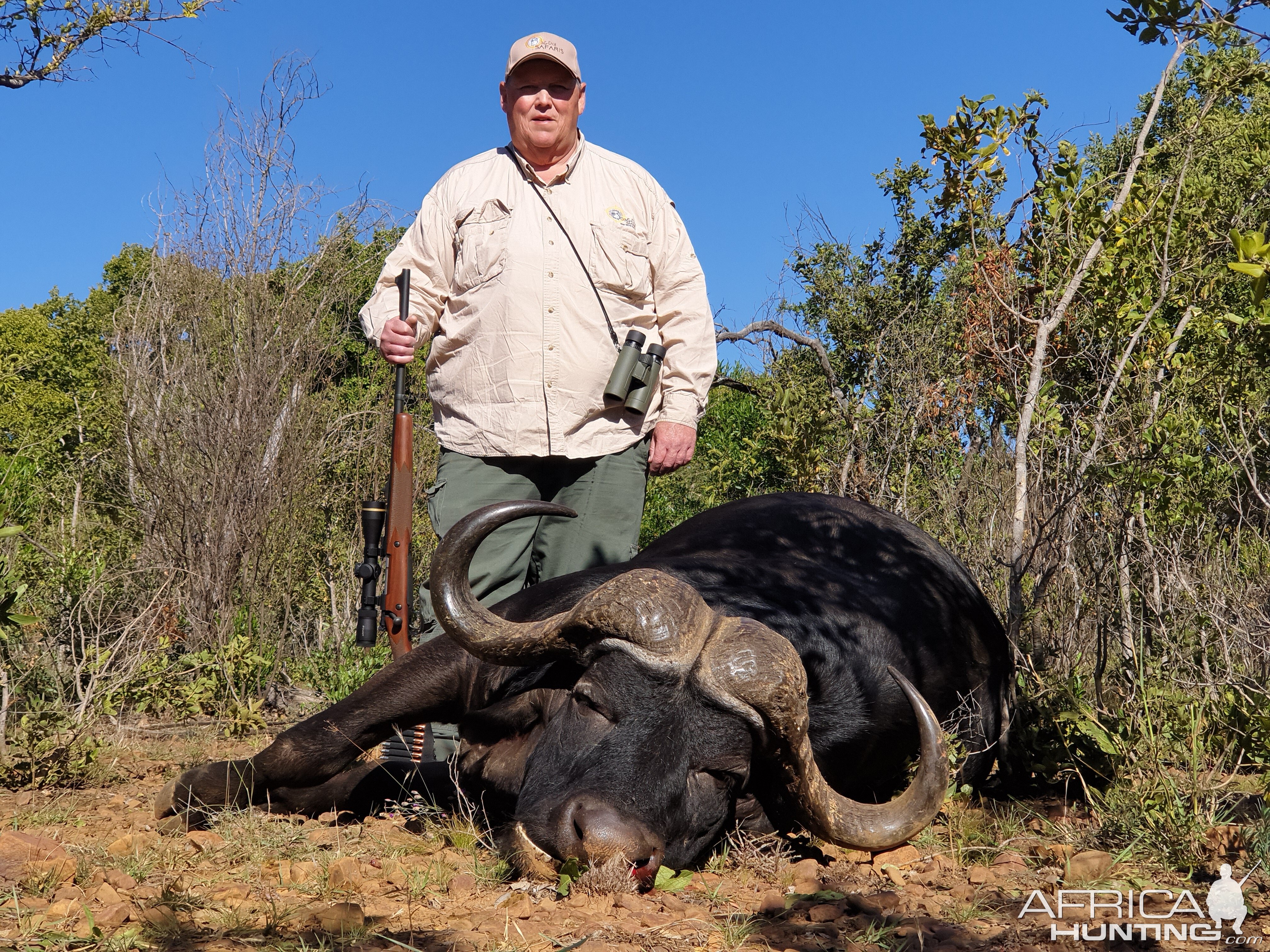 Hunt Cape Buffalo in South Africa