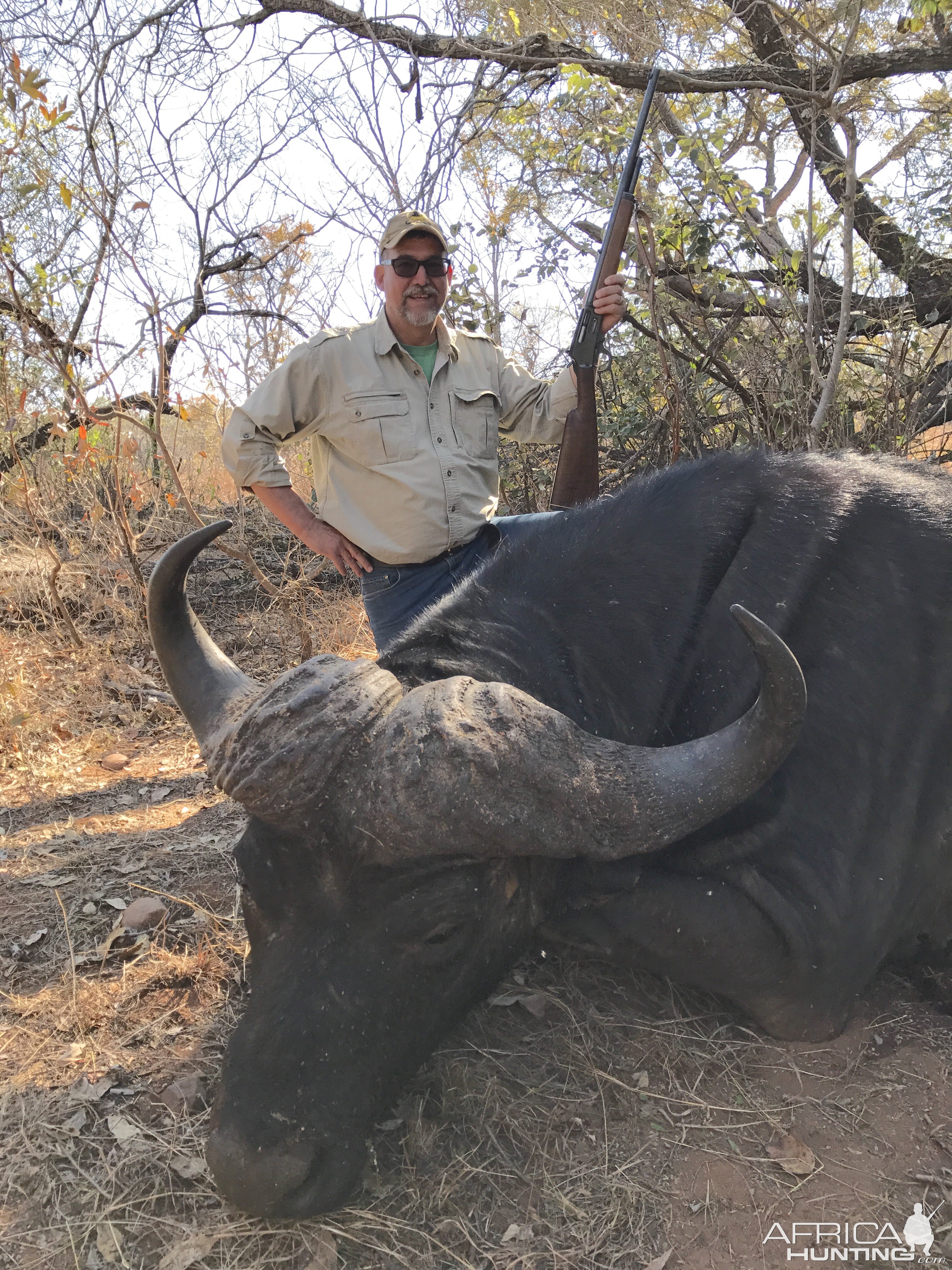 Hunt Cape Buffalo in South Africa