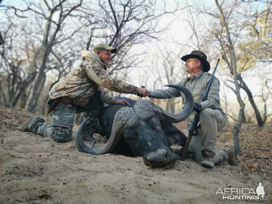 Hunt Cape Buffalo in South Africa