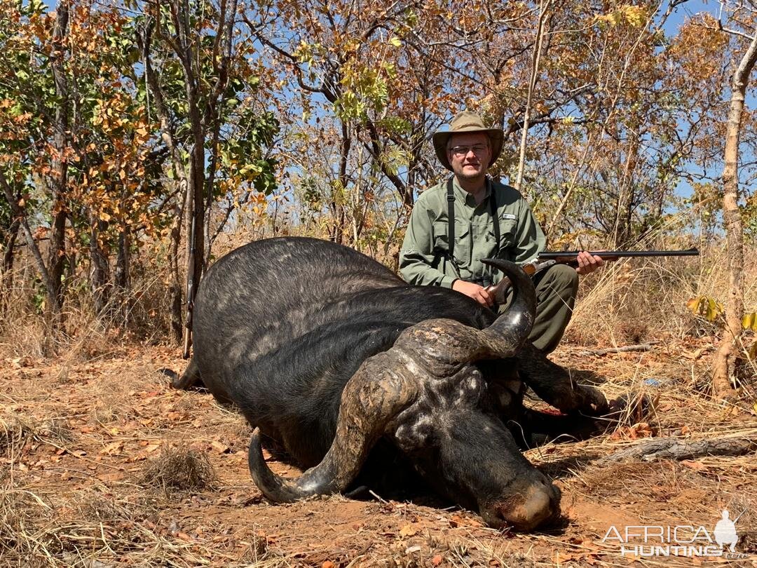 Hunt Cape Buffalo in Zimbabwe