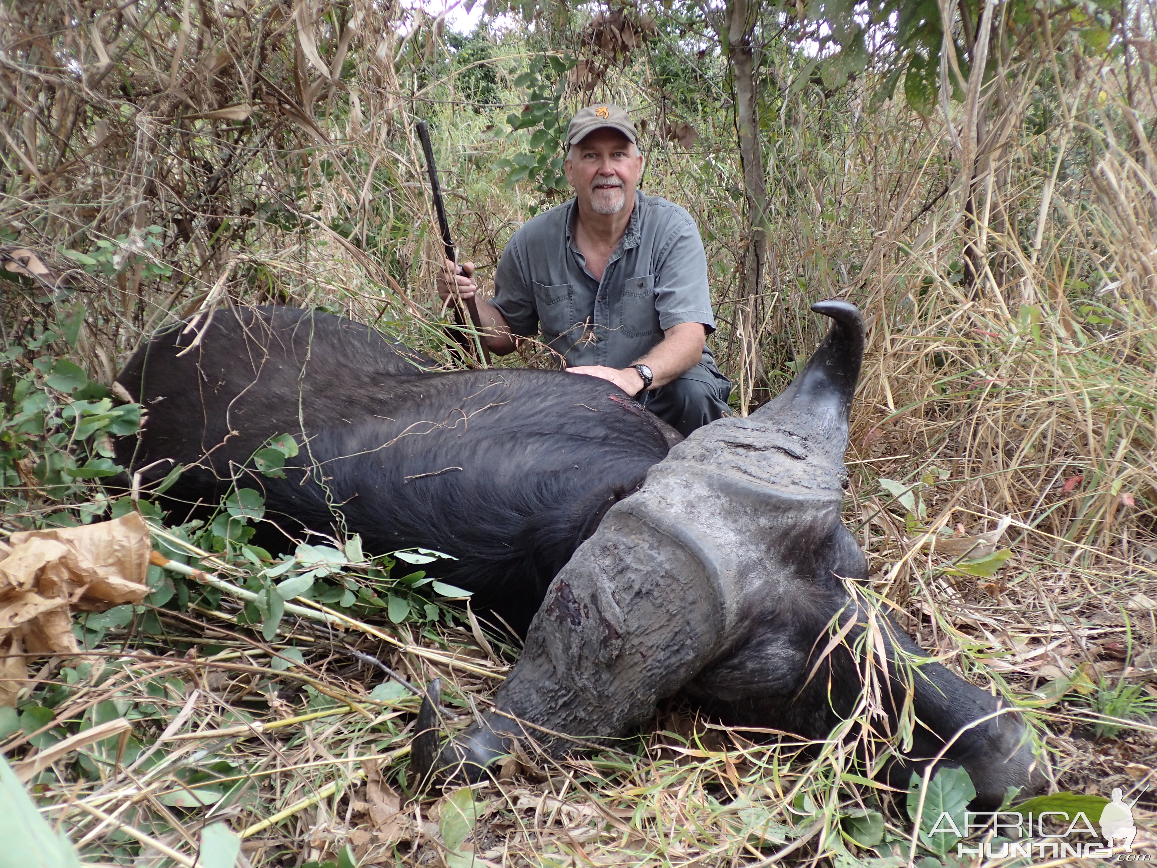 Hunt Cape Buffalo Zambia