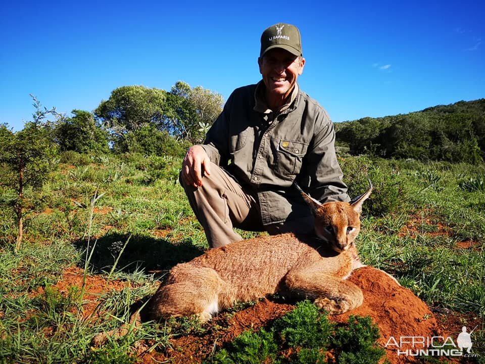 Hunt Caracal in South Africa