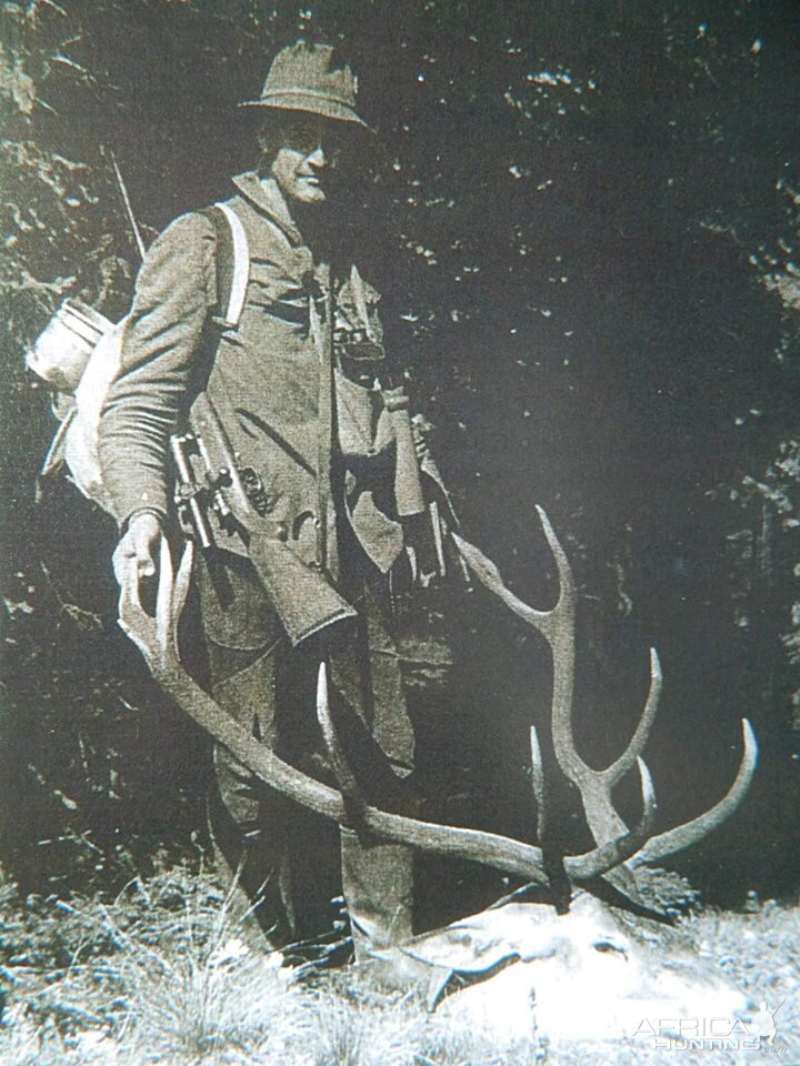 Hunt Carpathian Stag in Romania