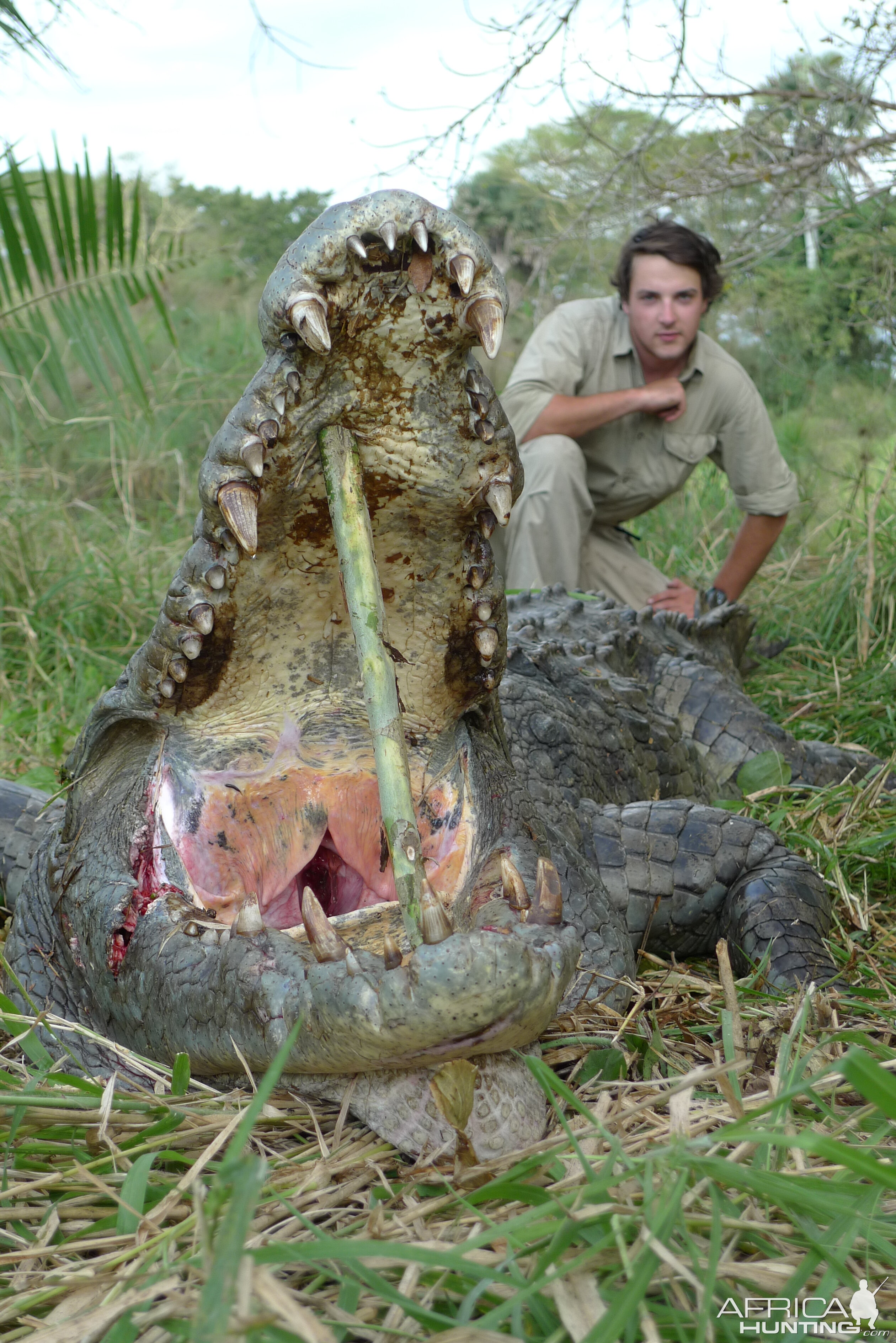 Hunt Crocodile in Mozambique
