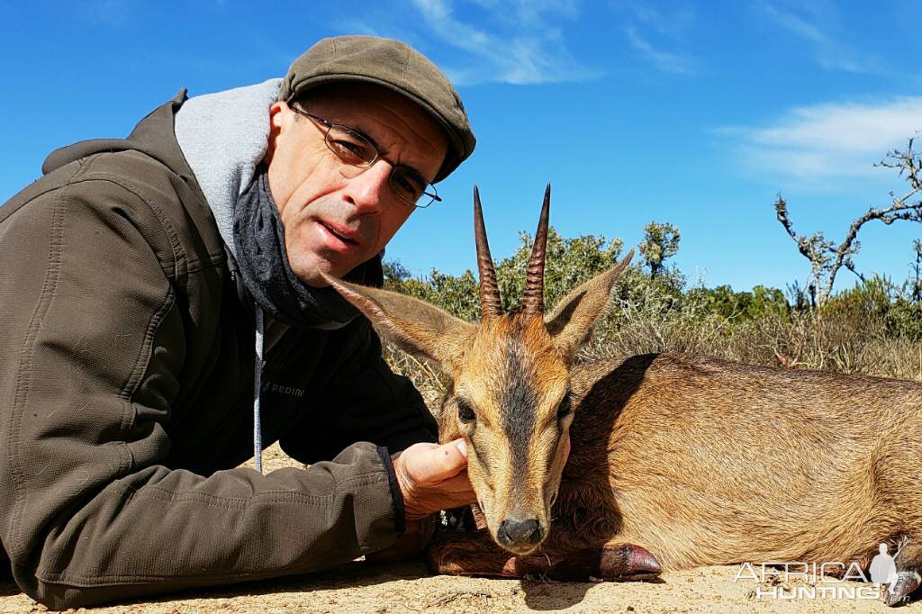 Hunt Duiker in South Africa