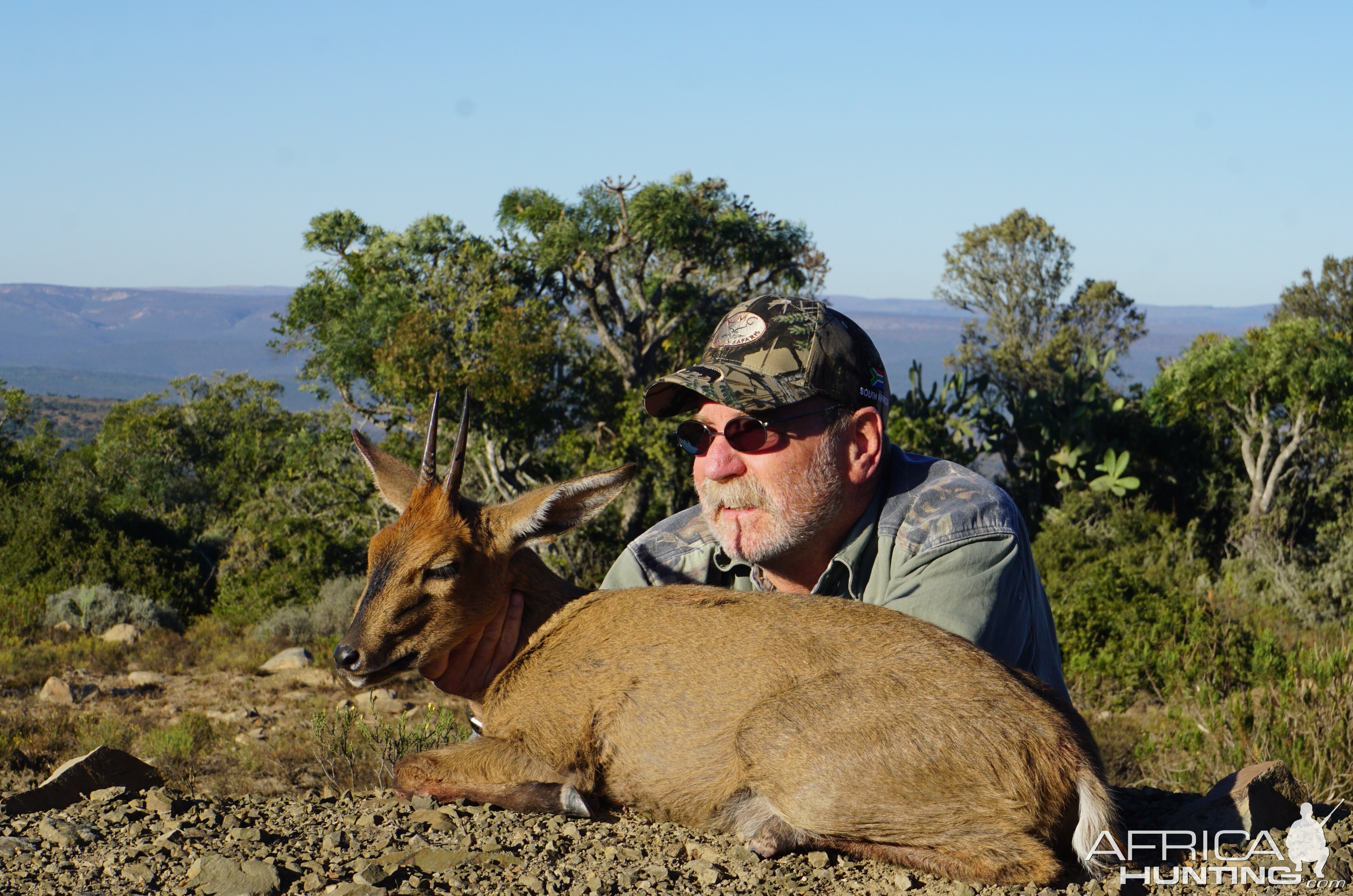 Hunt Duiker in South Africa