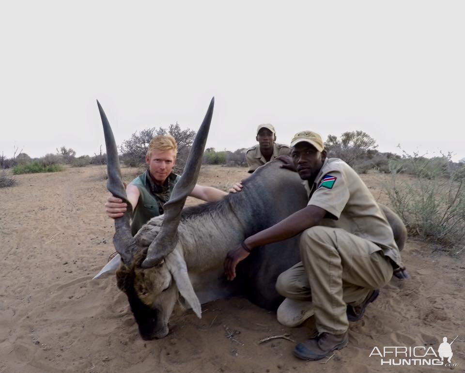 Hunt Eland in Namibia