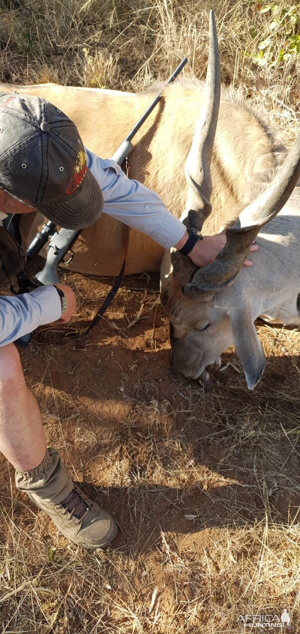 Hunt Eland in South Africa