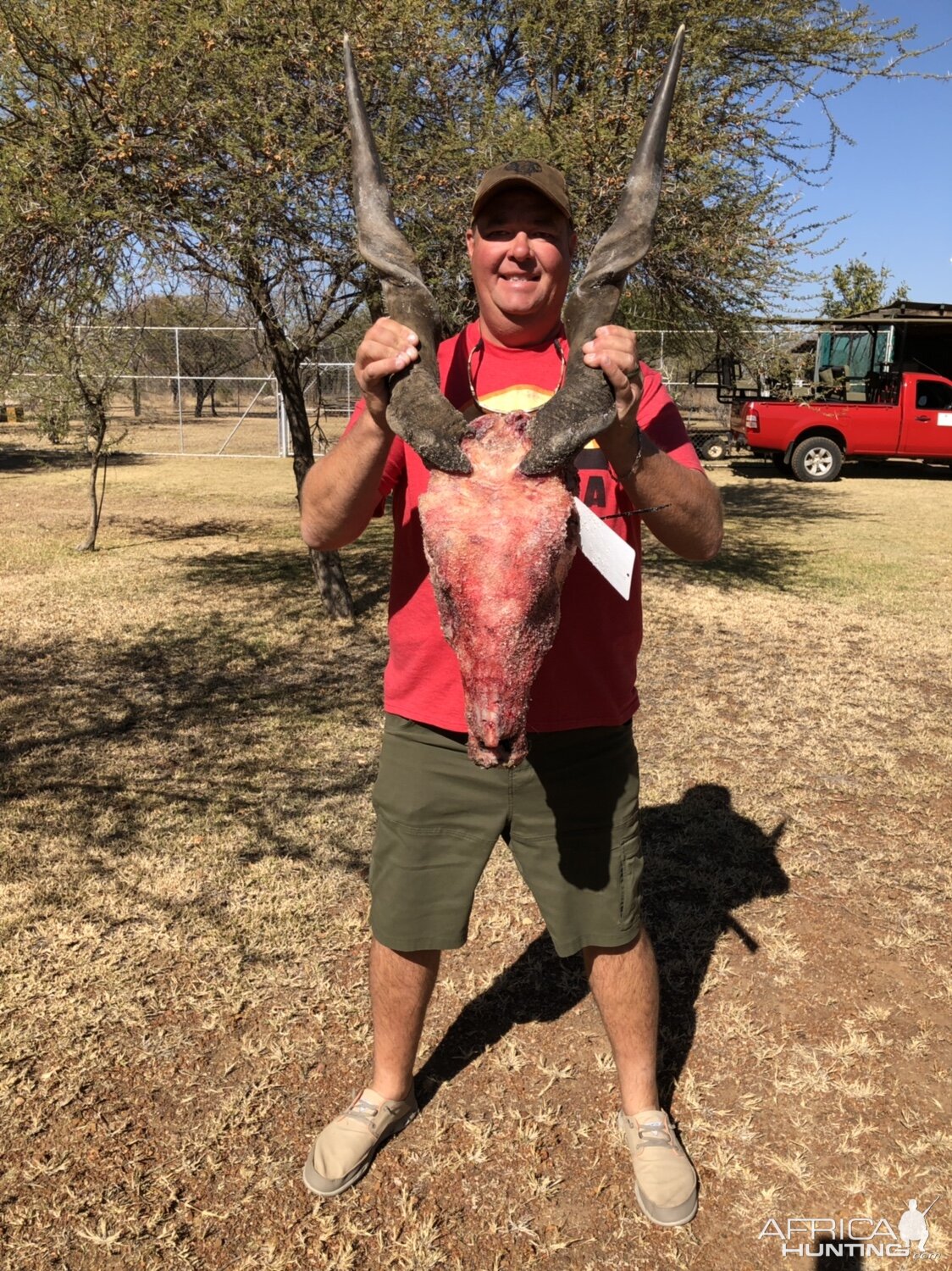 Hunt Eland in South Africa