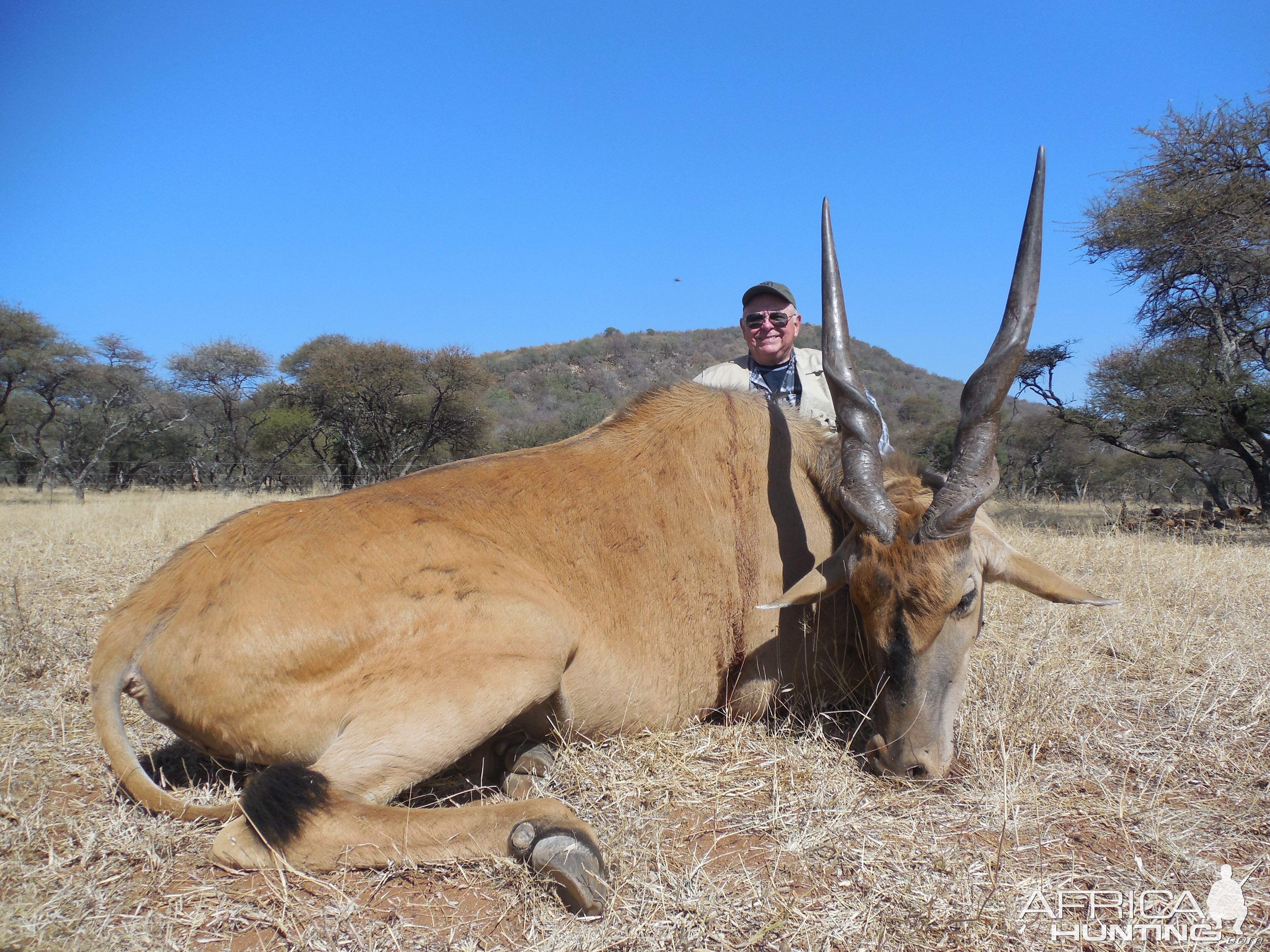 Hunt Eland South Africa