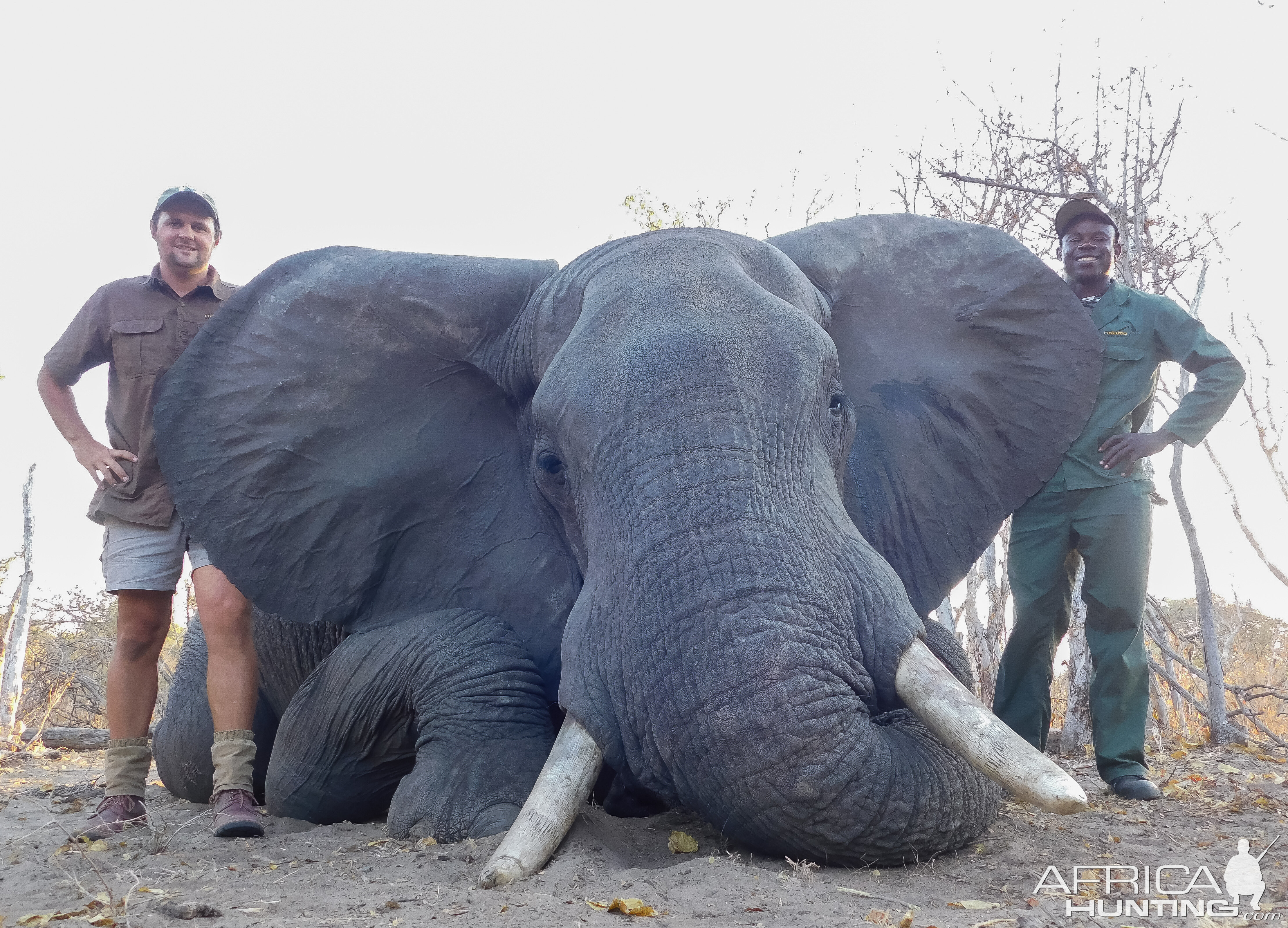 Hunt Elephant in Namibia