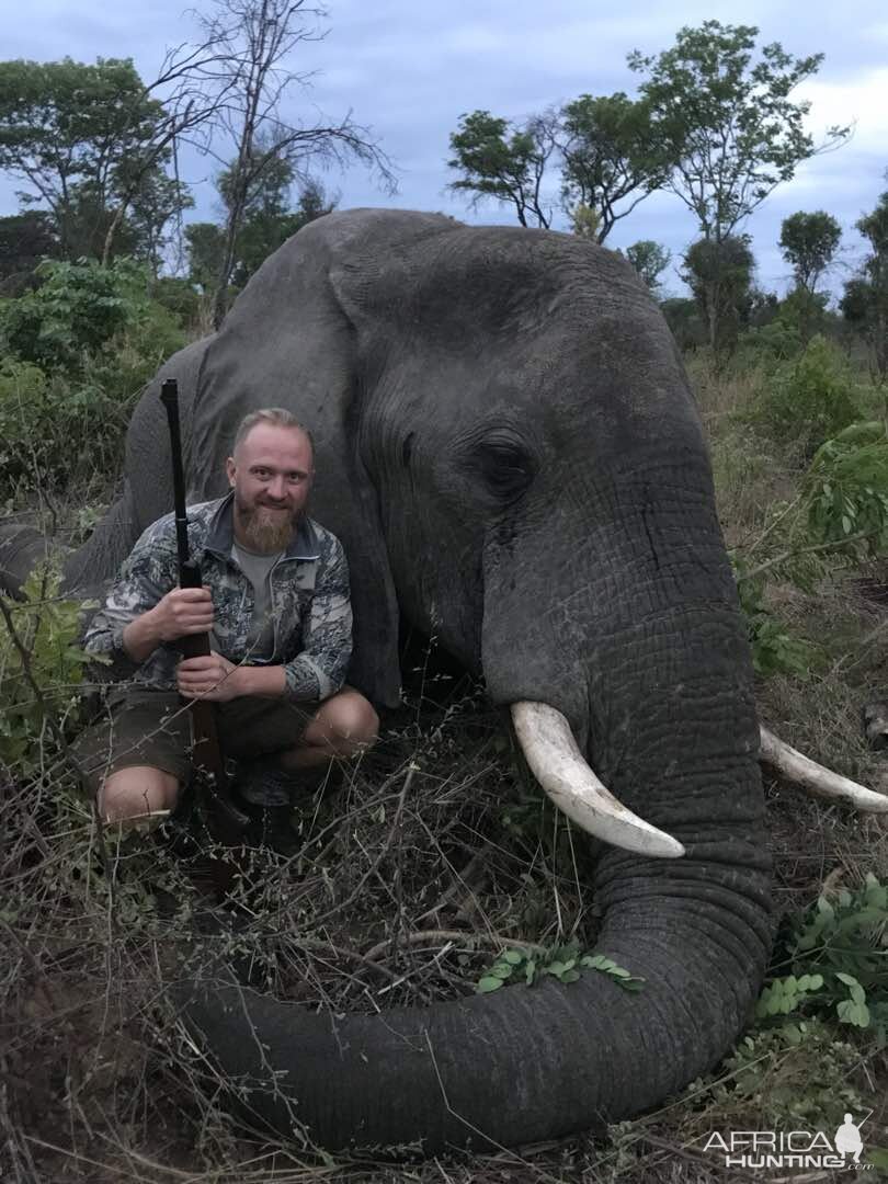 Hunt Elephant in Zimbabwe