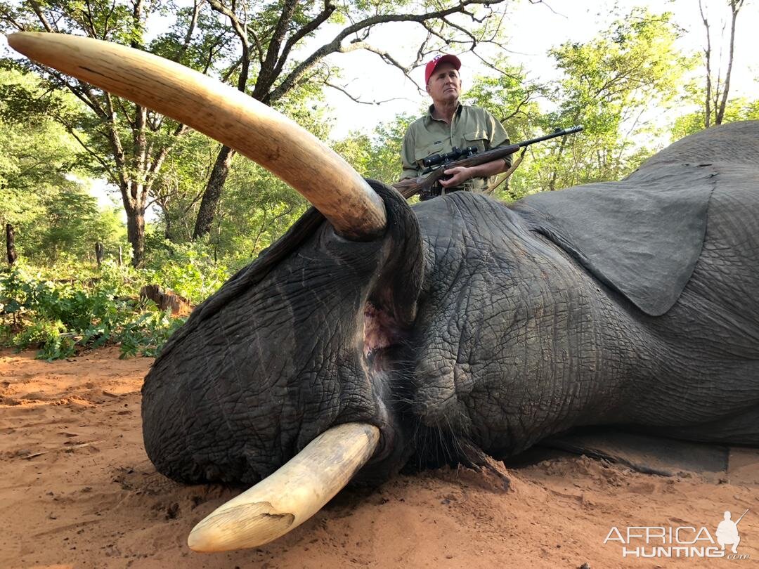 Hunt Elephant in Zimbabwe