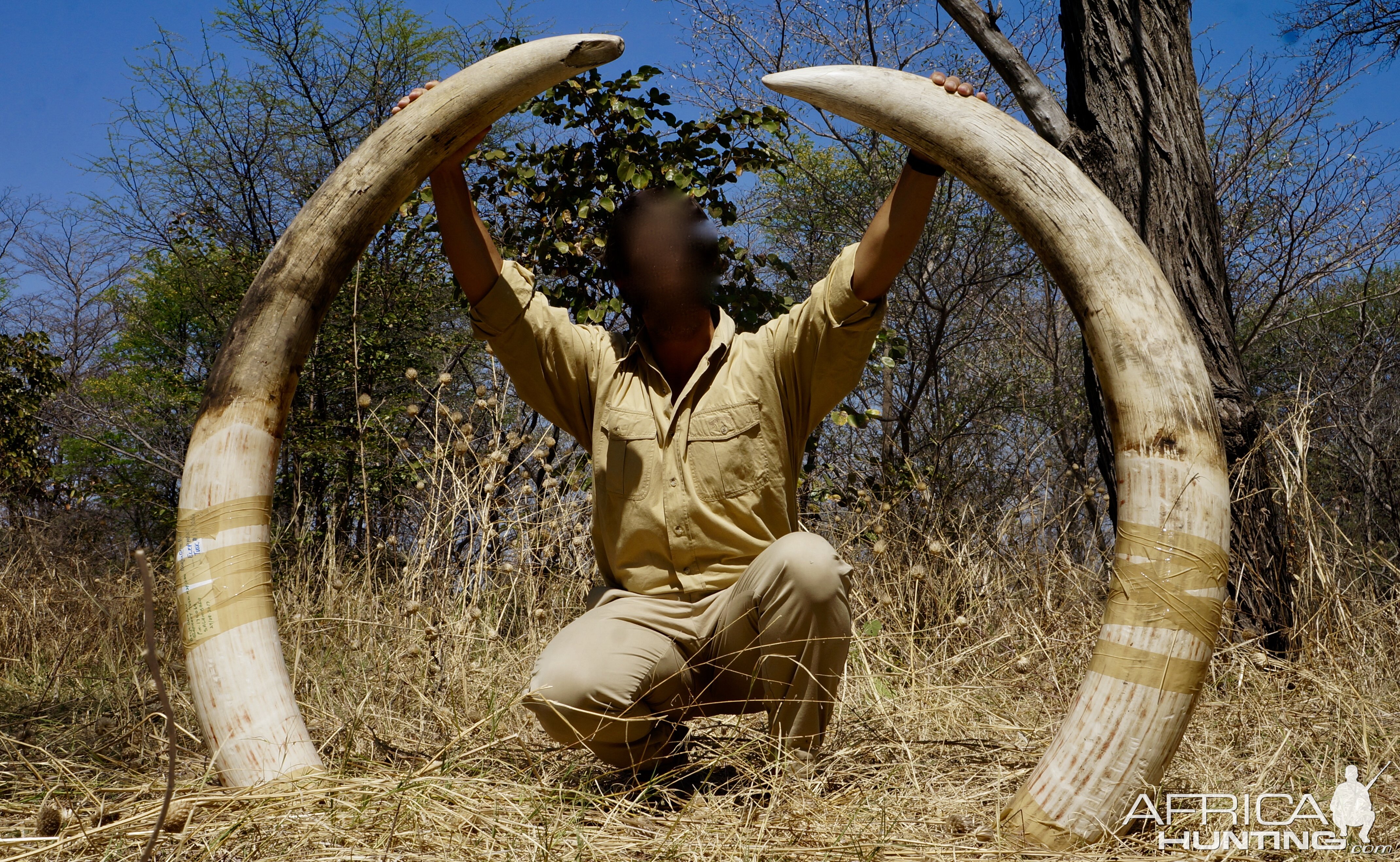 Hunt Elephant Namibia