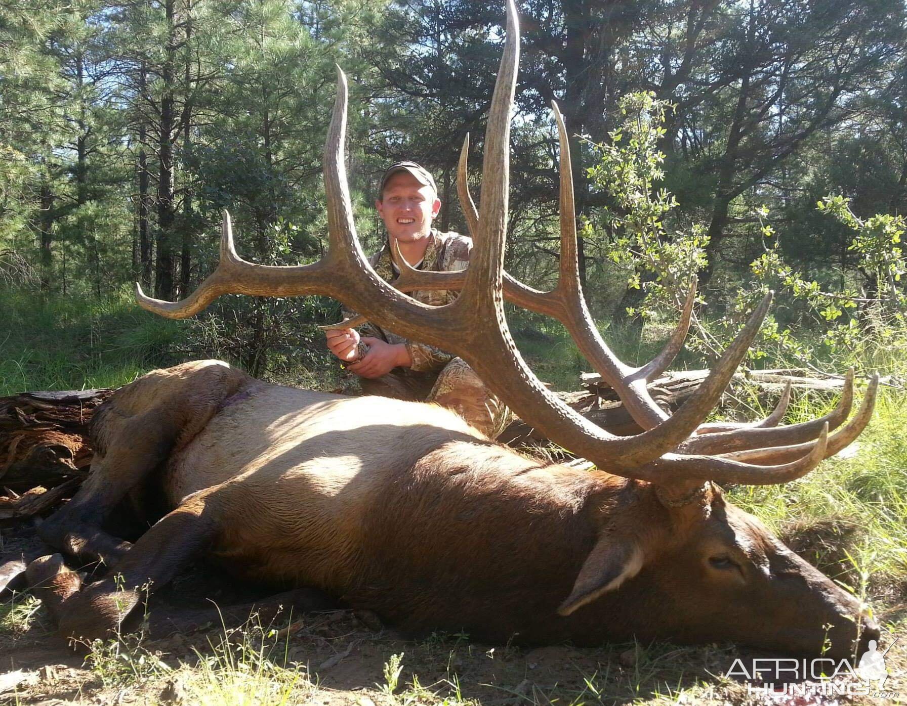 Hunt Elk in Arizona USA