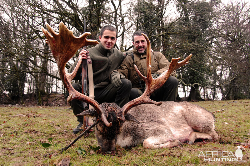 Hunt Fallow Deer France