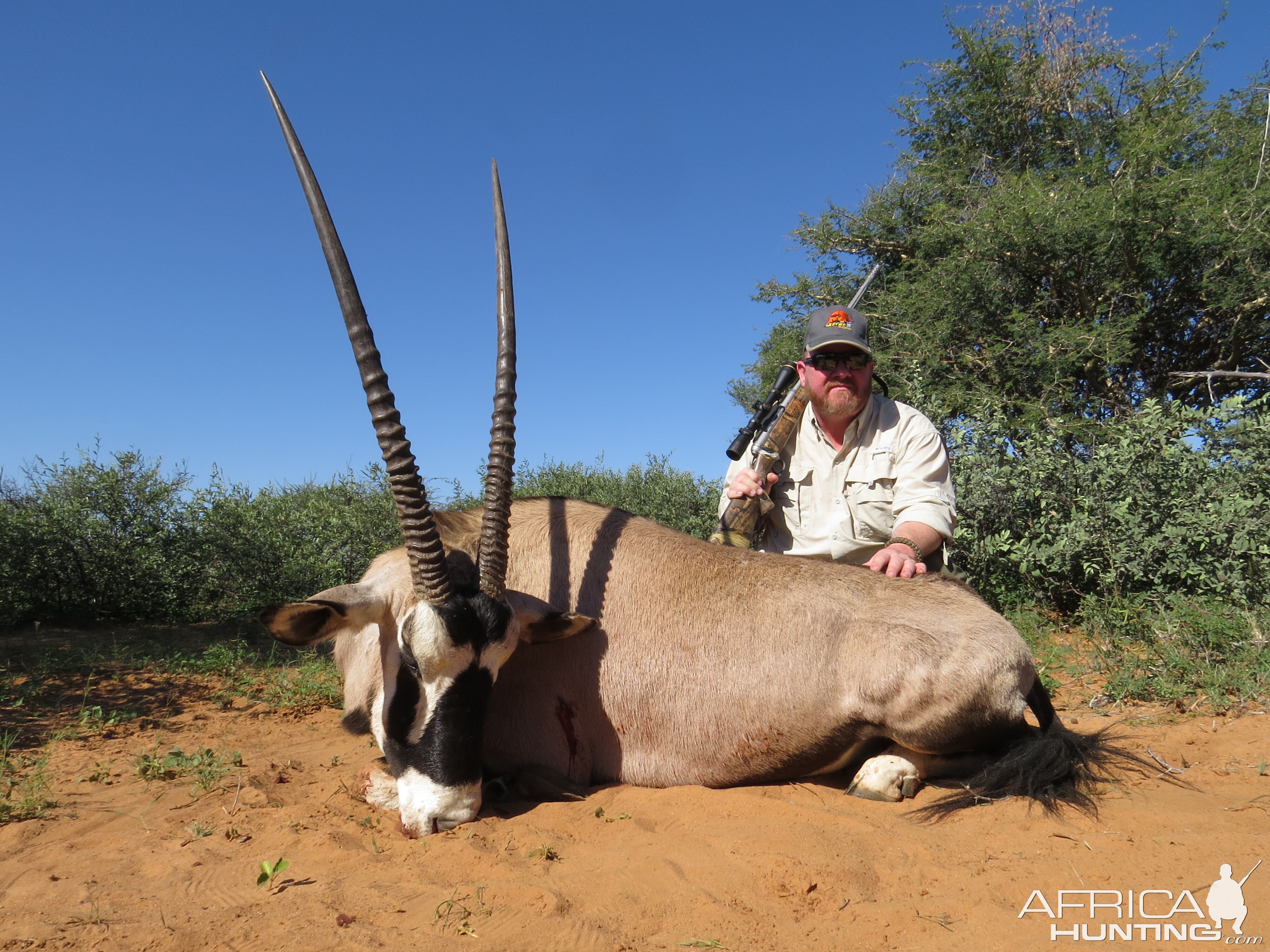 Hunt Gemsbok in South Africa