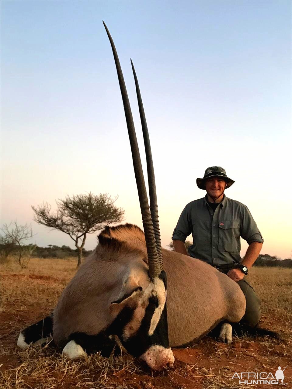 Hunt Gemsbok in South Africa