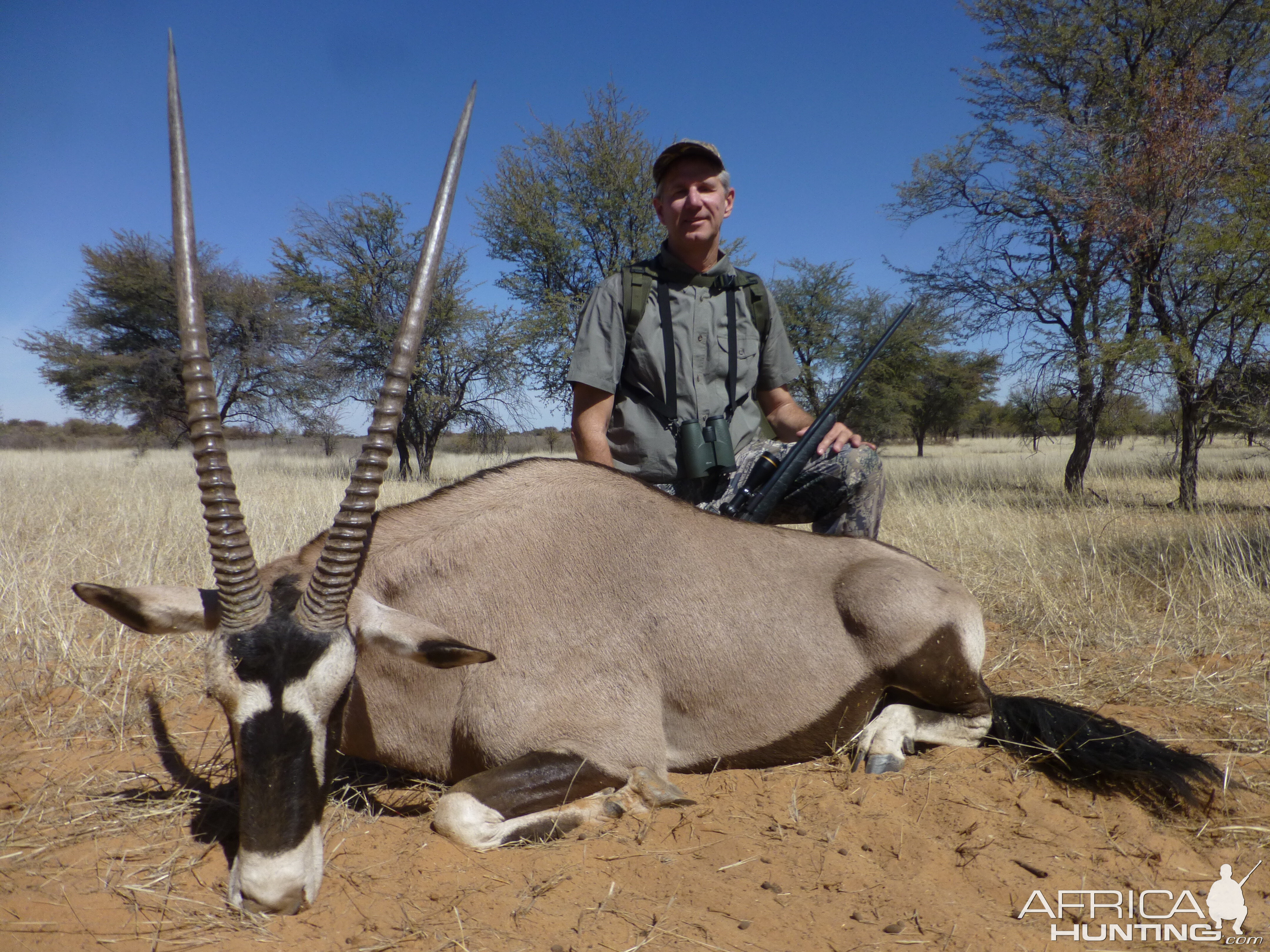 Hunt Gemsbok Namibia