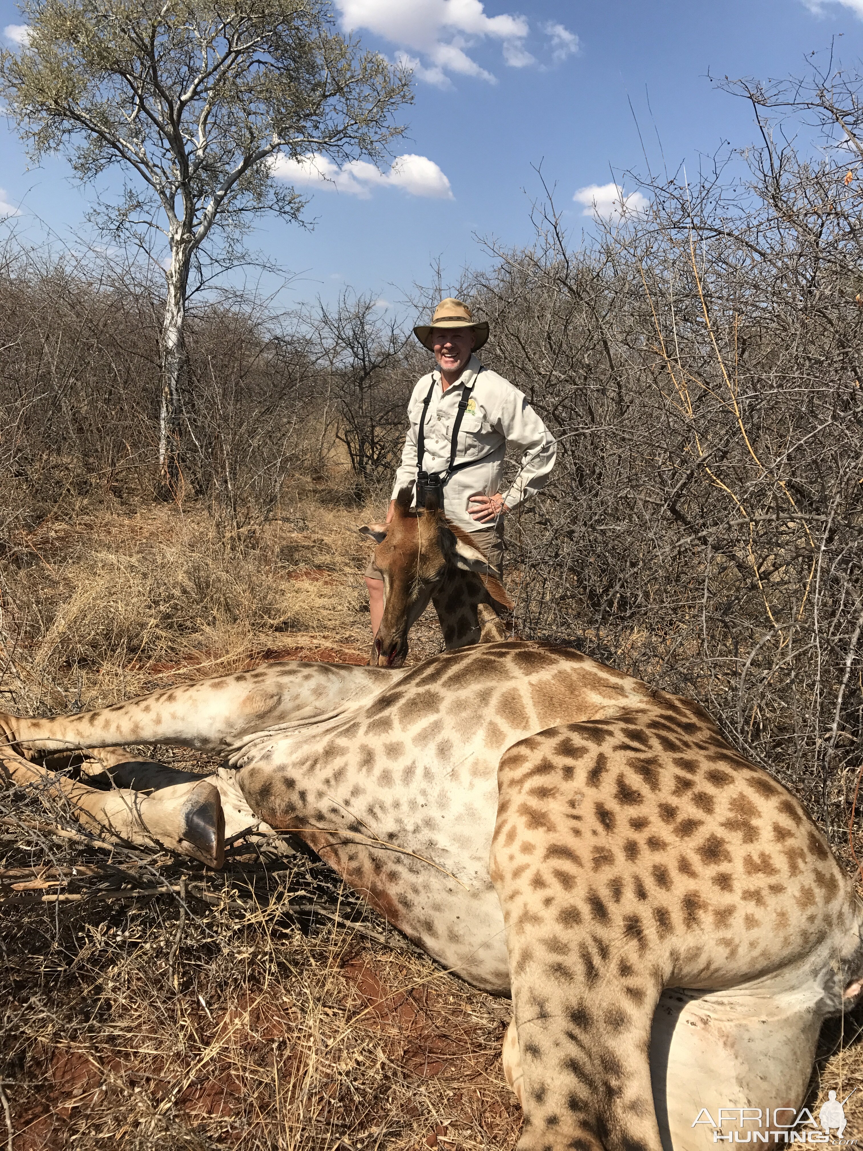 Hunt Giraffe in South Africa