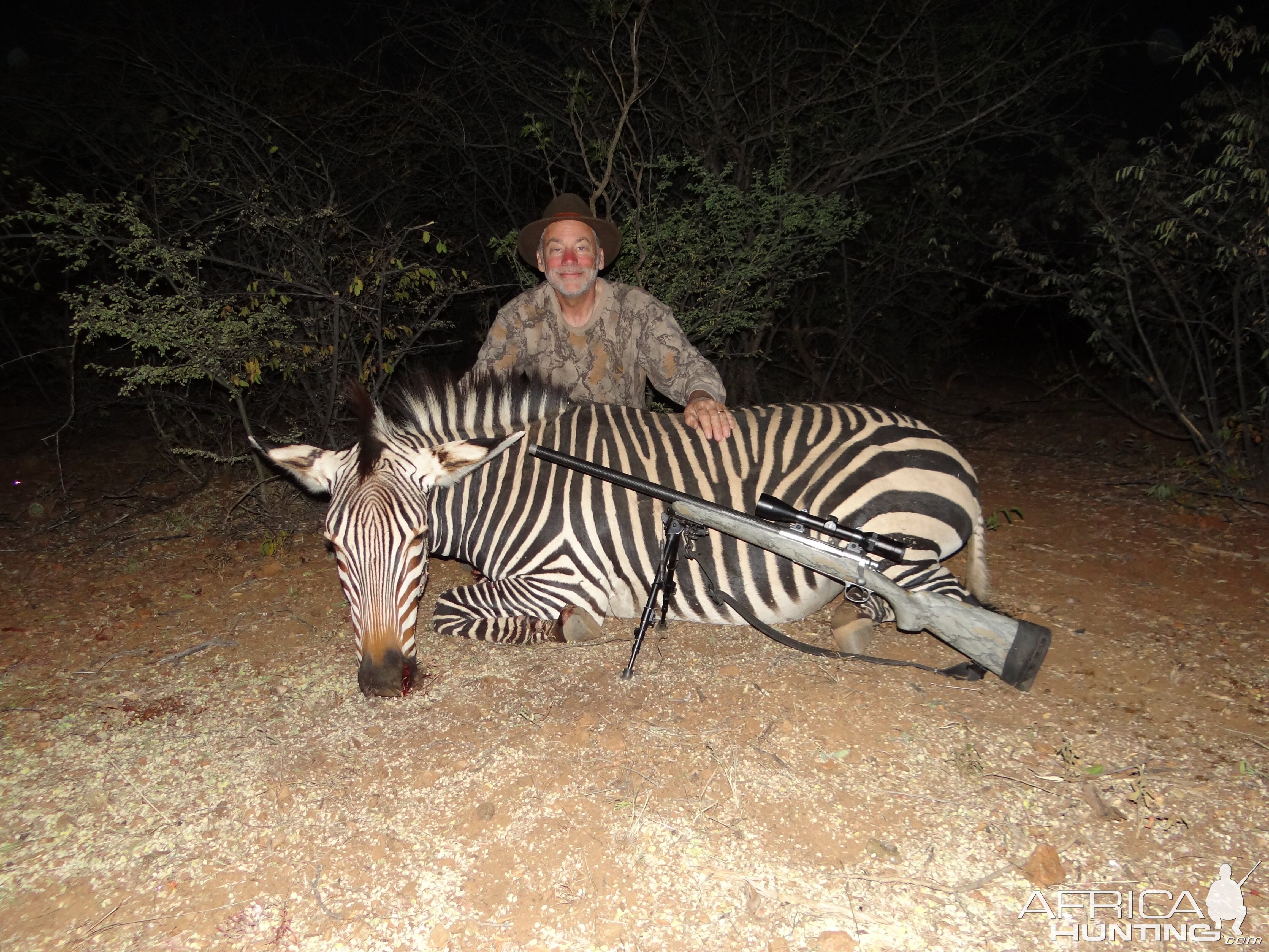 Hunt Hartmann's Mountain Zebra in Namibia